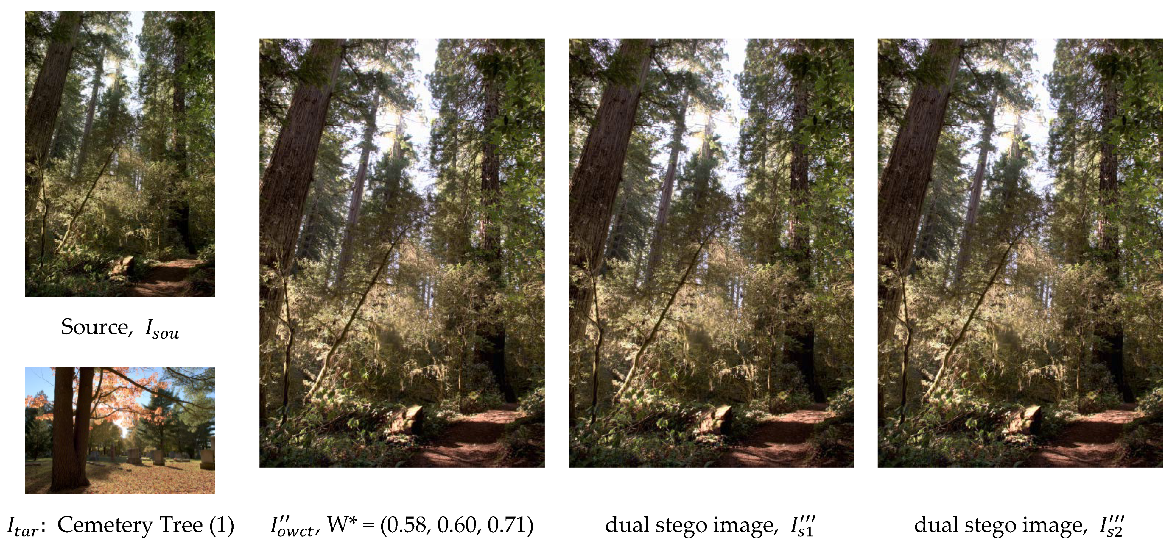 Applsci 13 01013 g003 Applsci 13 01013 g003