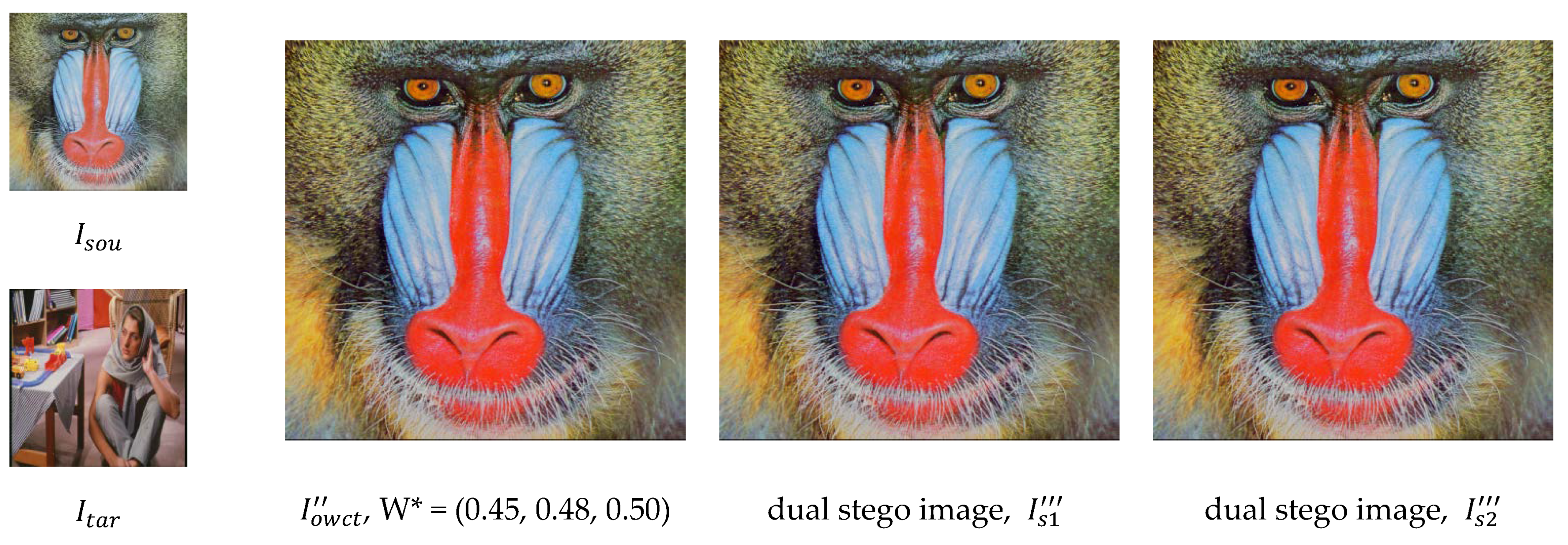 Applsci 13 01013 g005 Applsci 13 01013 g005