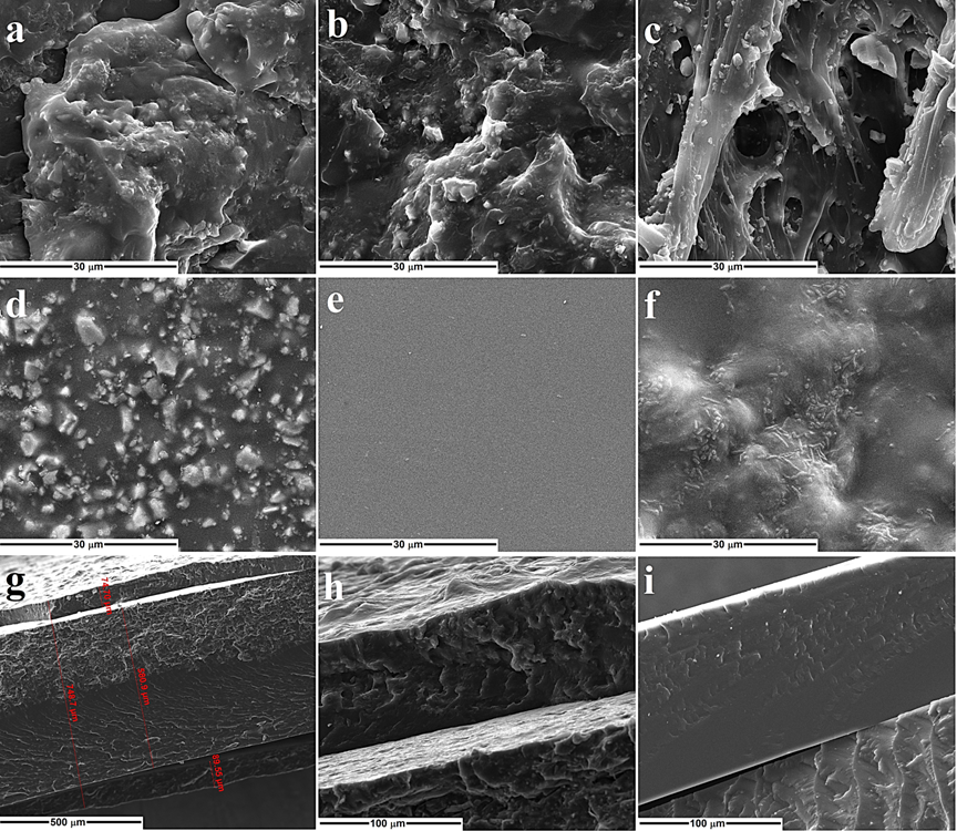 Applsci 13 01015 g001