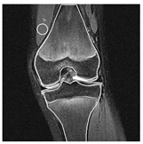 Applsci 13 01024 i009 Applsci 13 01024 i009