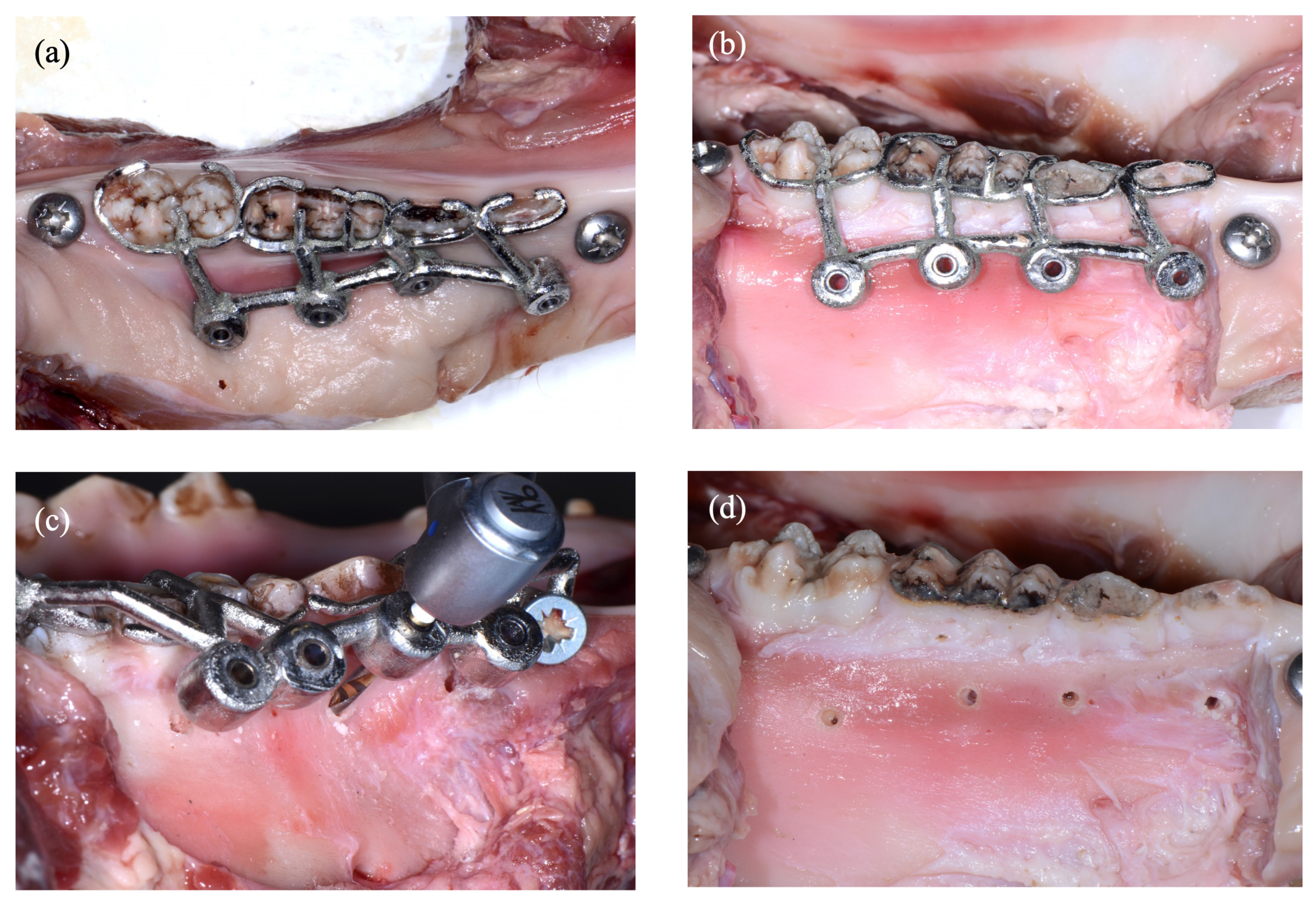 Applsci 13 01031 g003