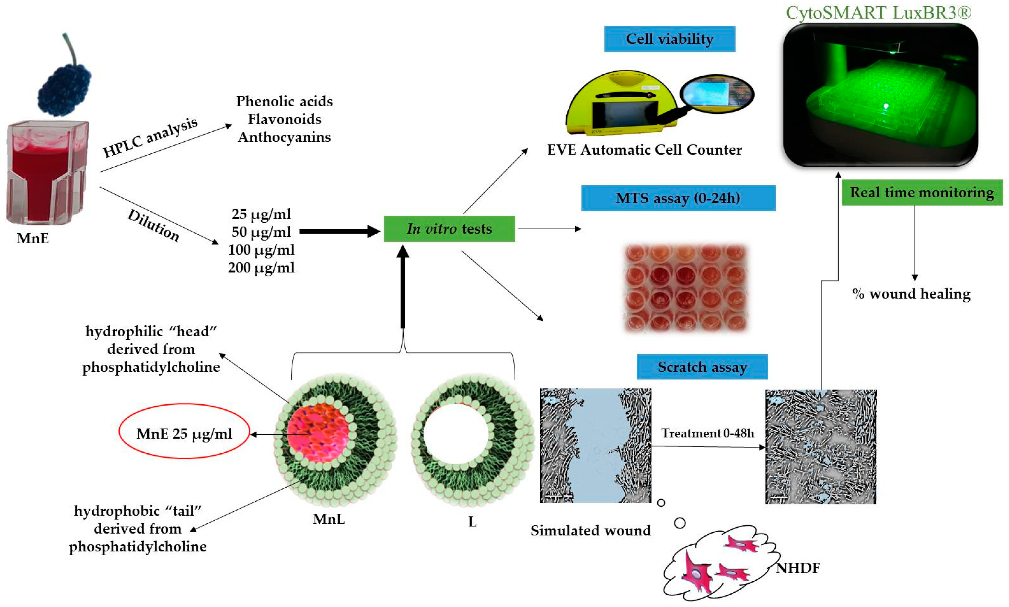 Applsci 13 01041 g001