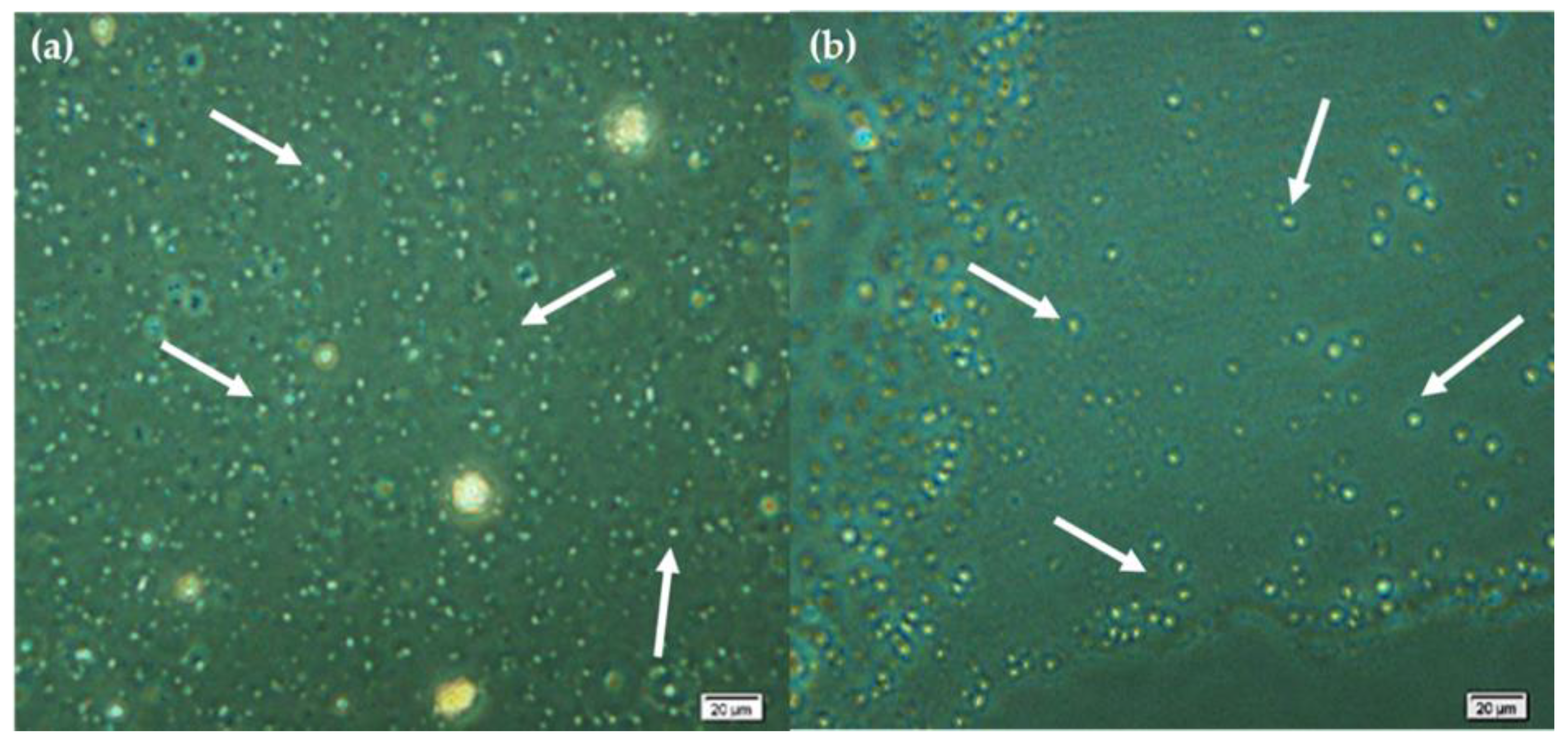 Applsci 13 01041 g002