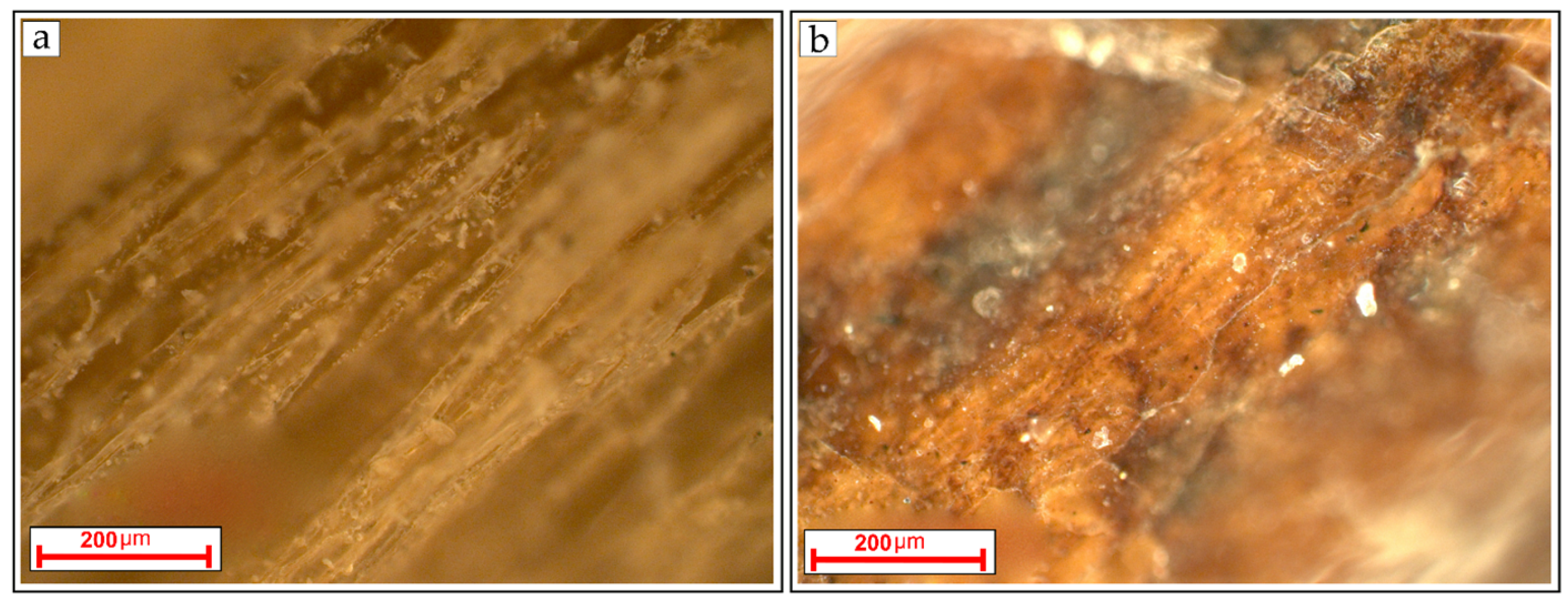 Applsci 13 01048 g004 Applsci 13 01048 g004