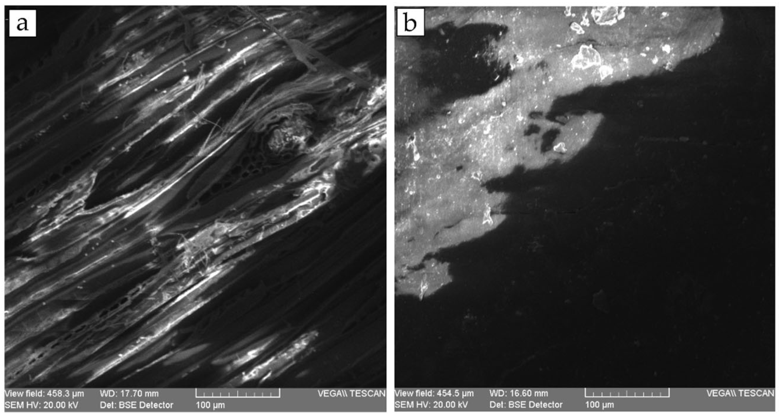Applsci 13 01048 g005 Applsci 13 01048 g005