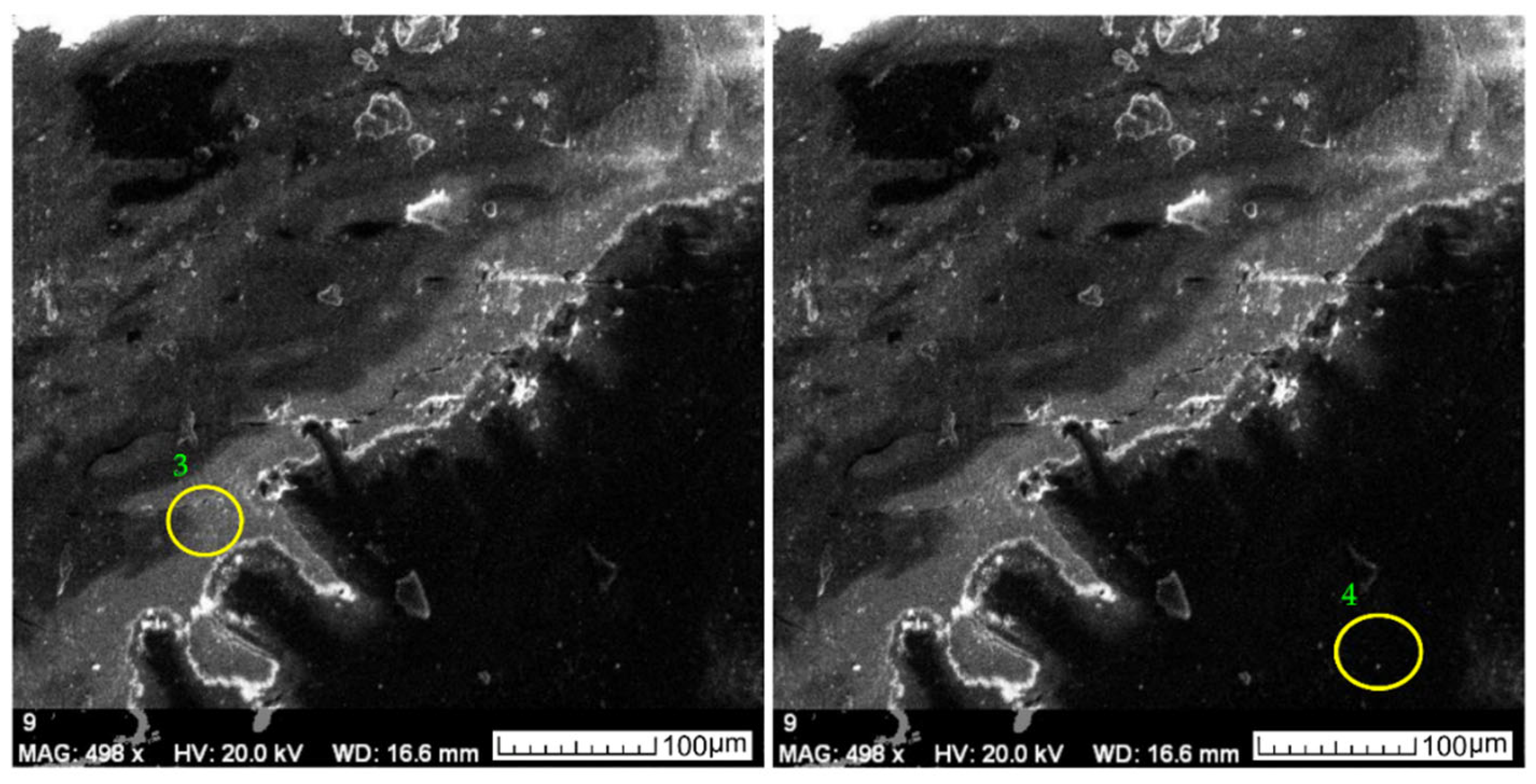 Applsci 13 01048 g007 Applsci 13 01048 g007