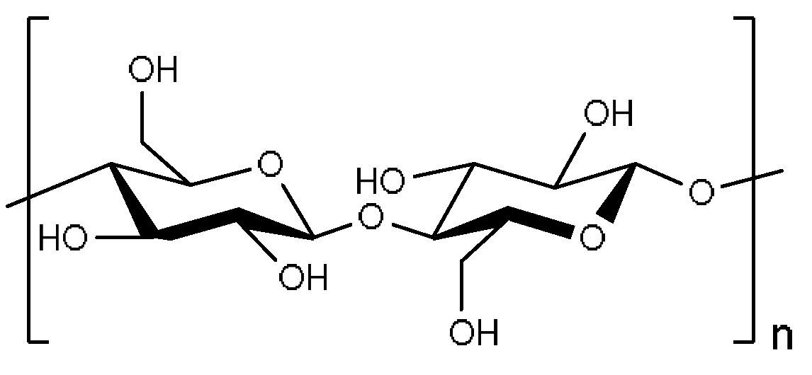 Applsci 13 01055 g004