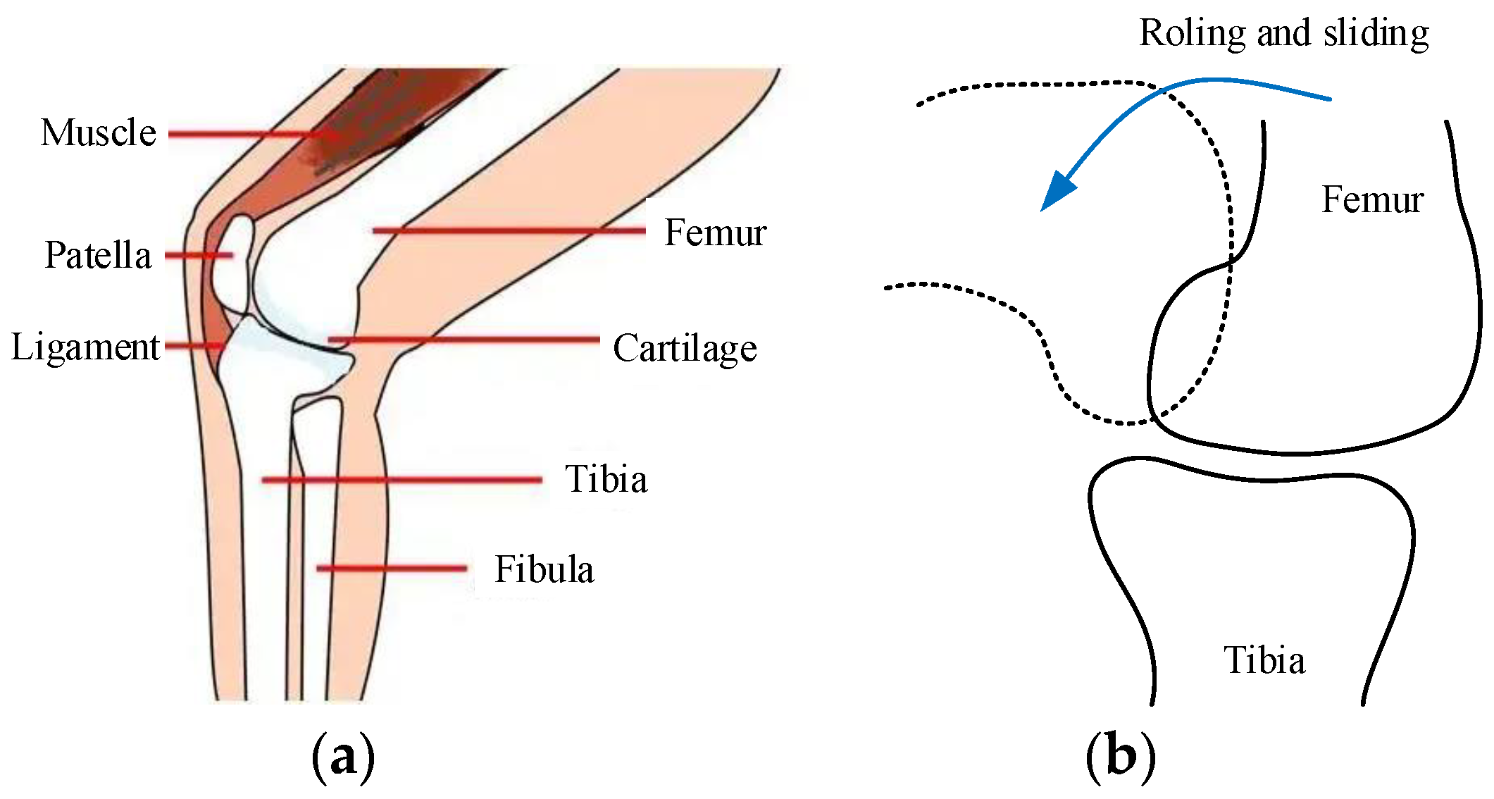 Applsci 13 01064 g001