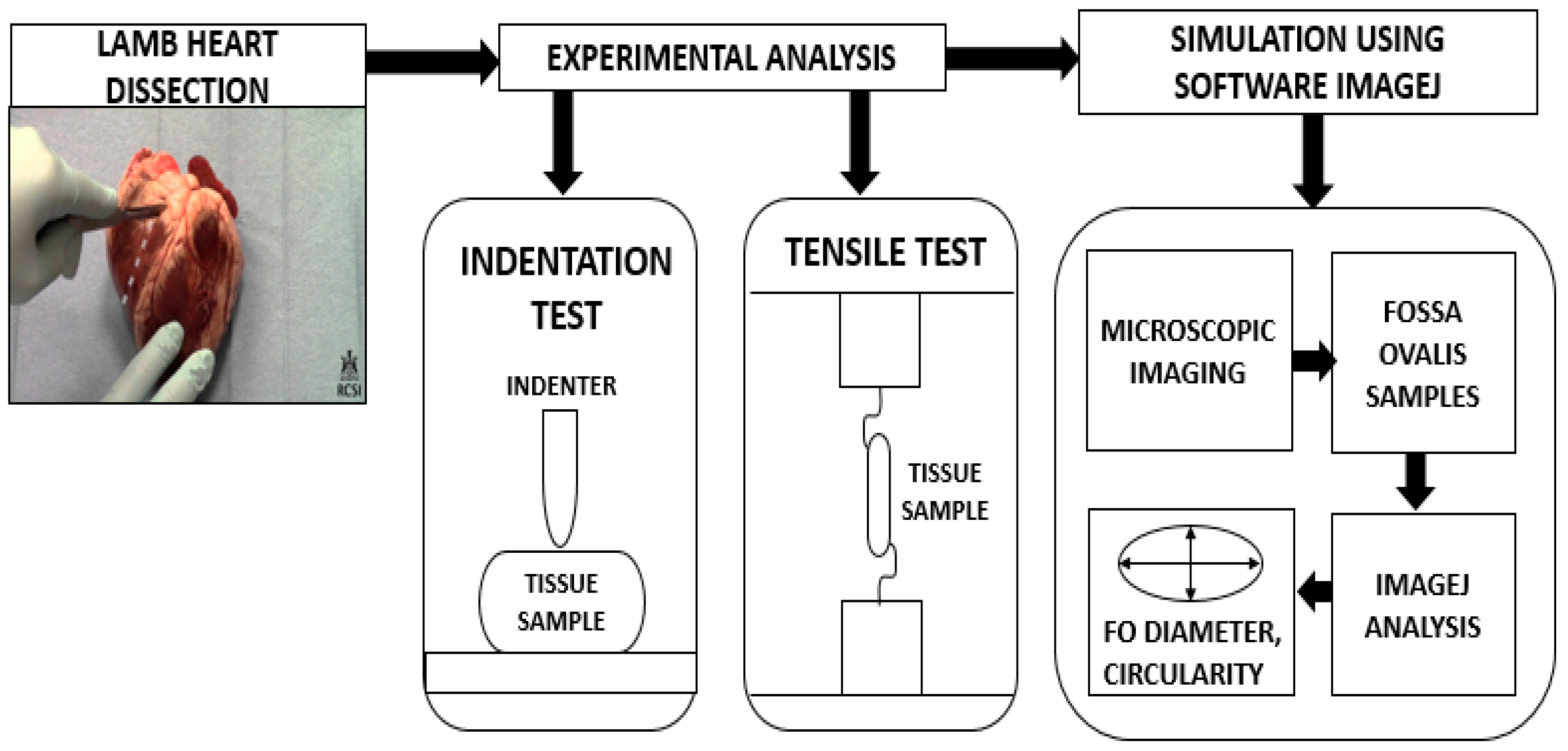 Applsci 13 01065 g002