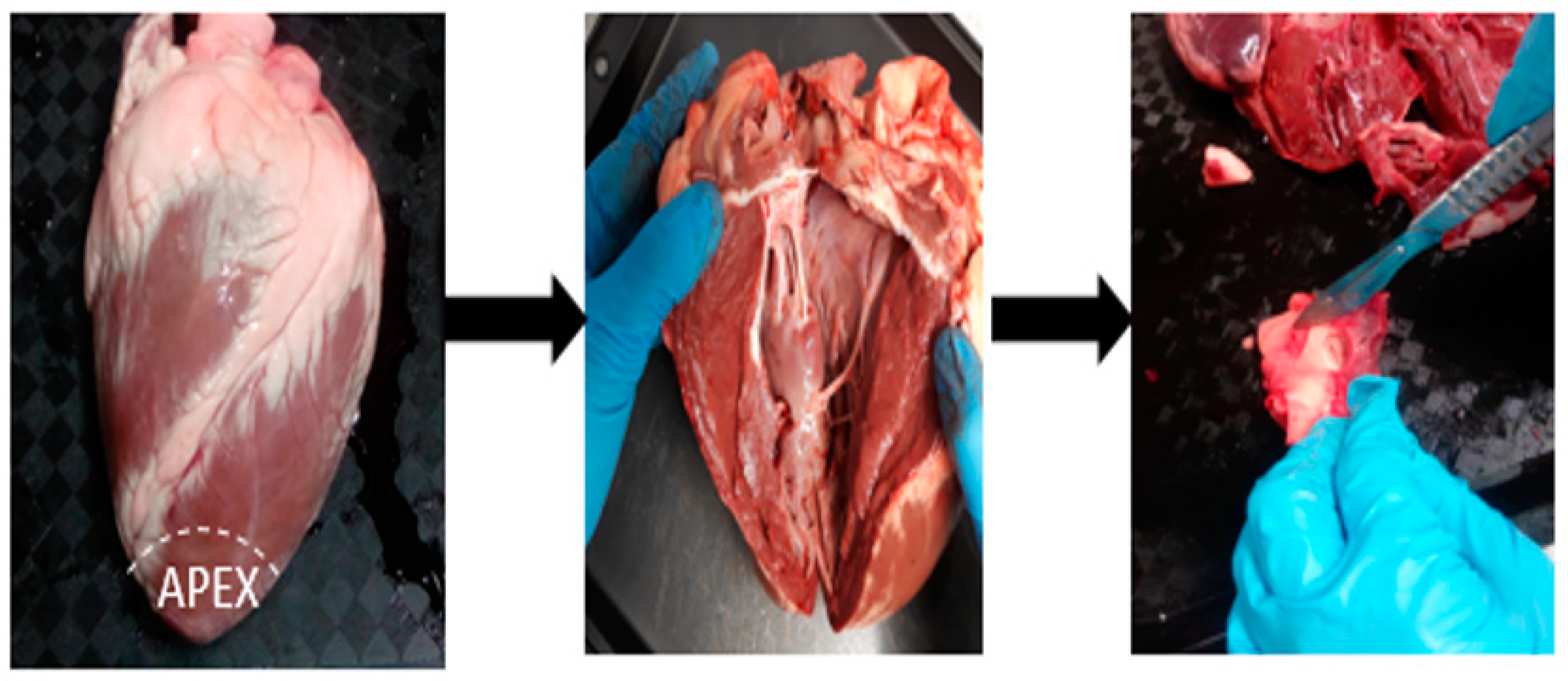 Applsci 13 01065 g003