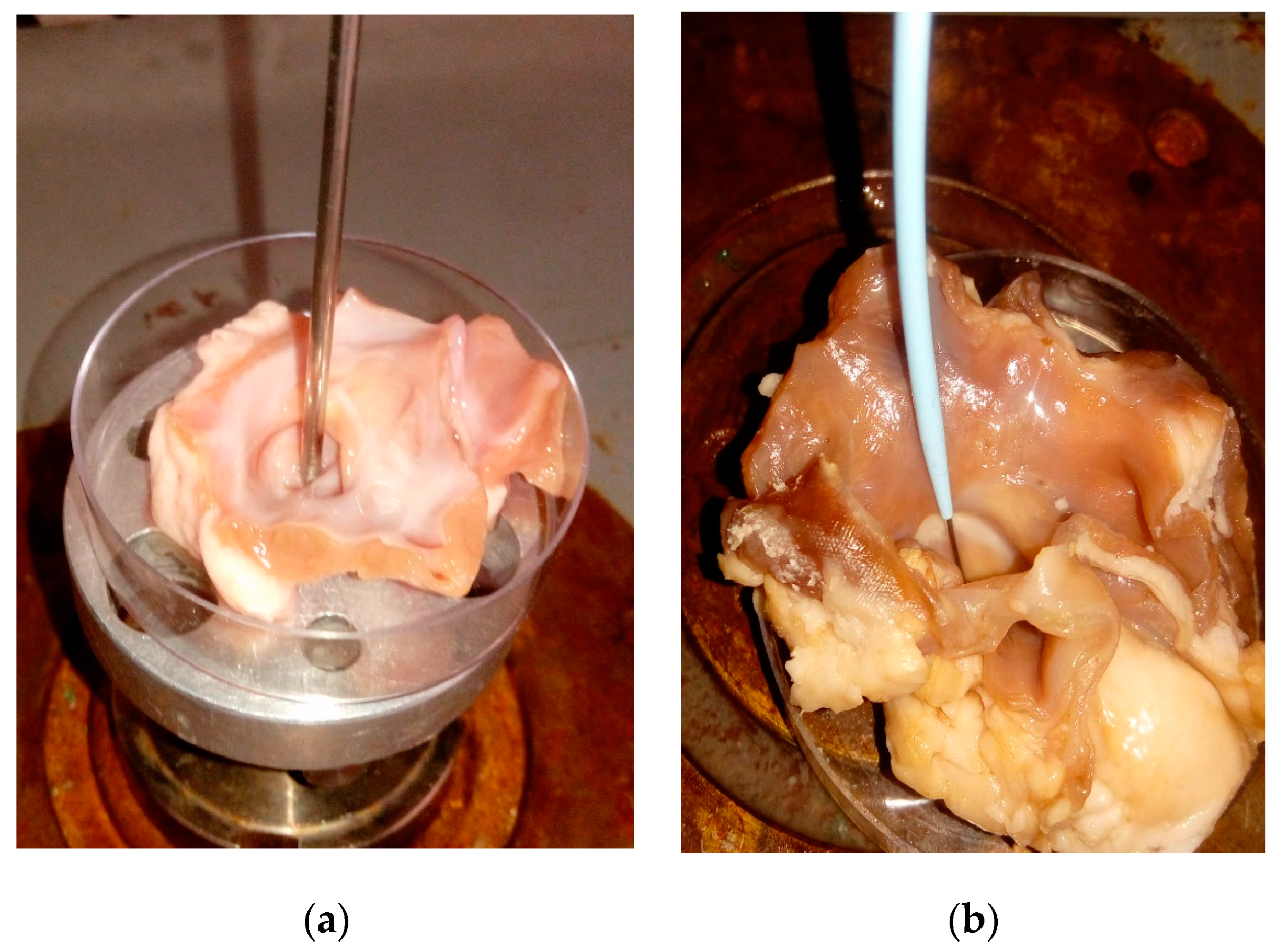 Applsci 13 01065 g004