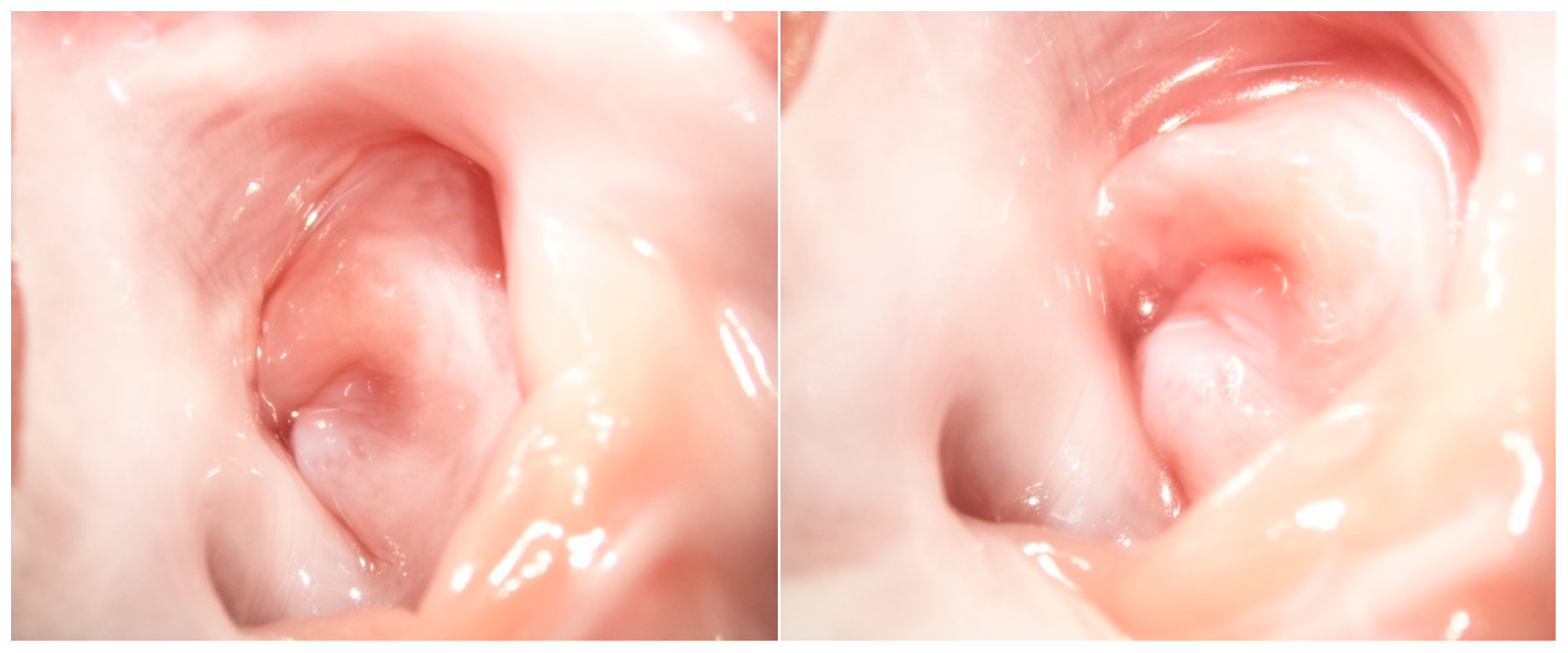 Applsci 13 01065 g006