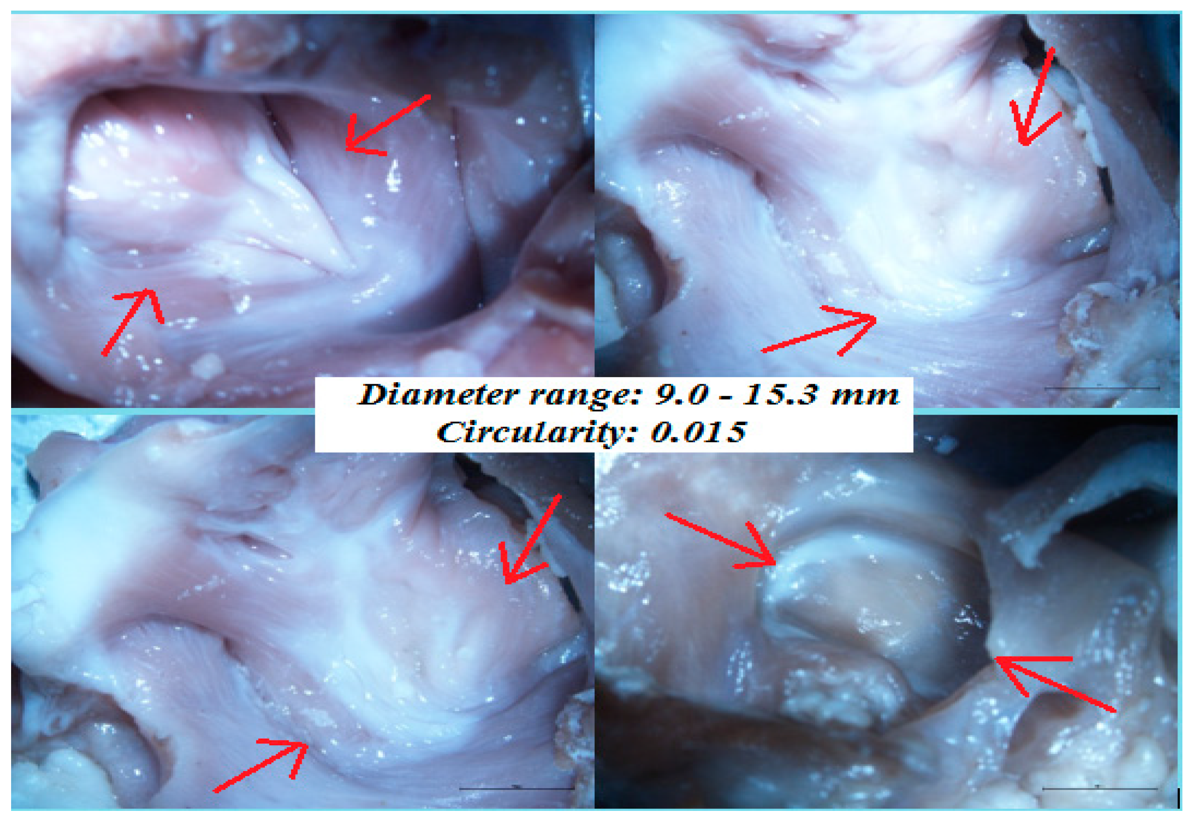 Applsci 13 01065 g009