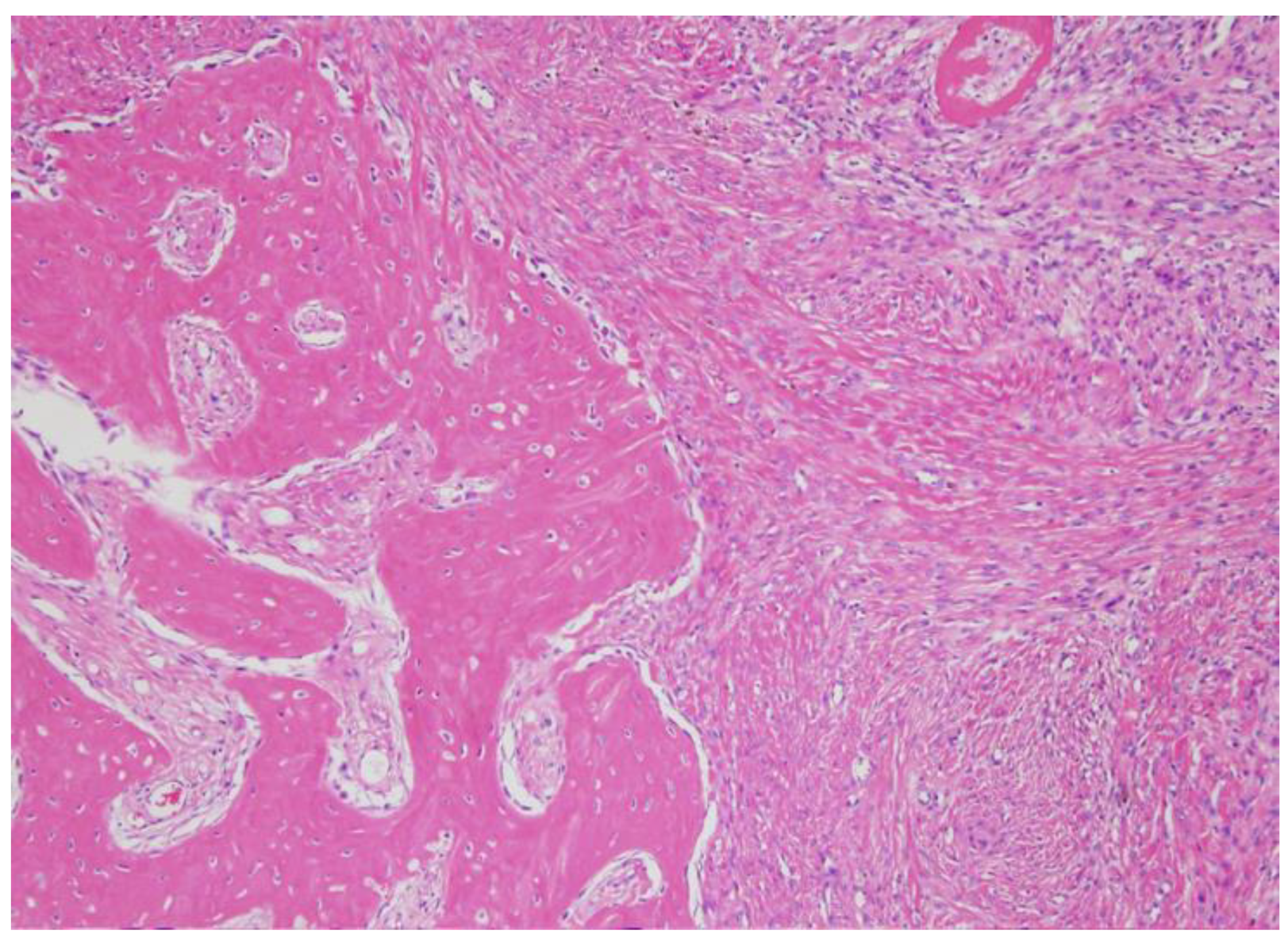 Applsci 13 01081 g004