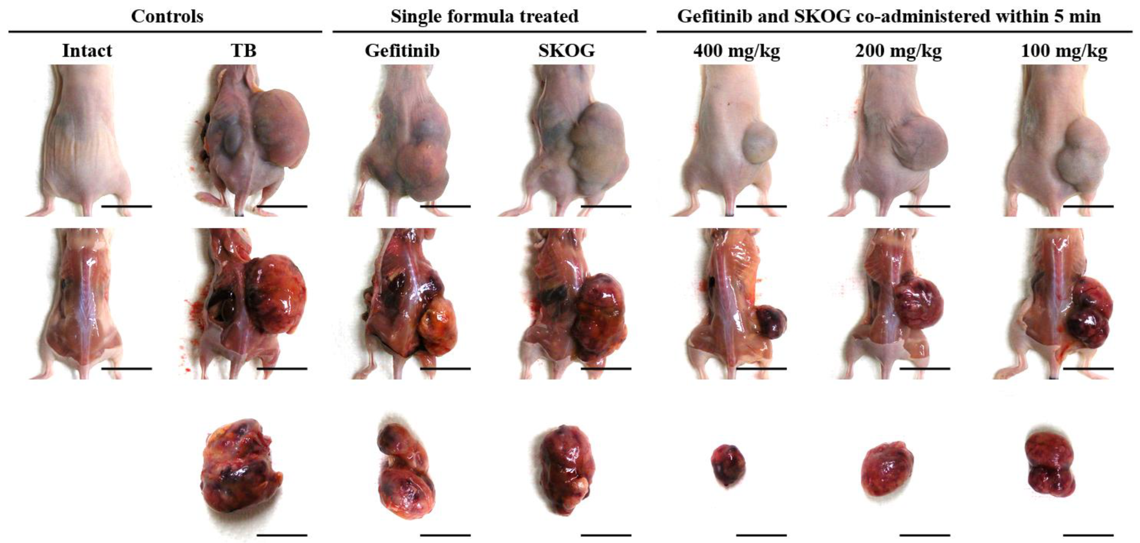 Applsci 13 01090 g003