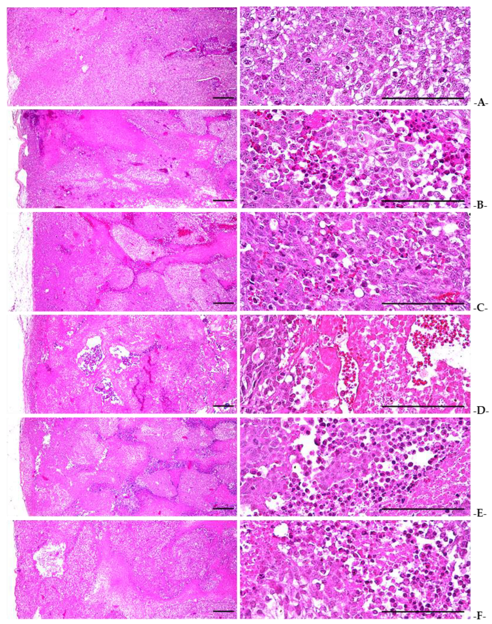 Applsci 13 01090 g007