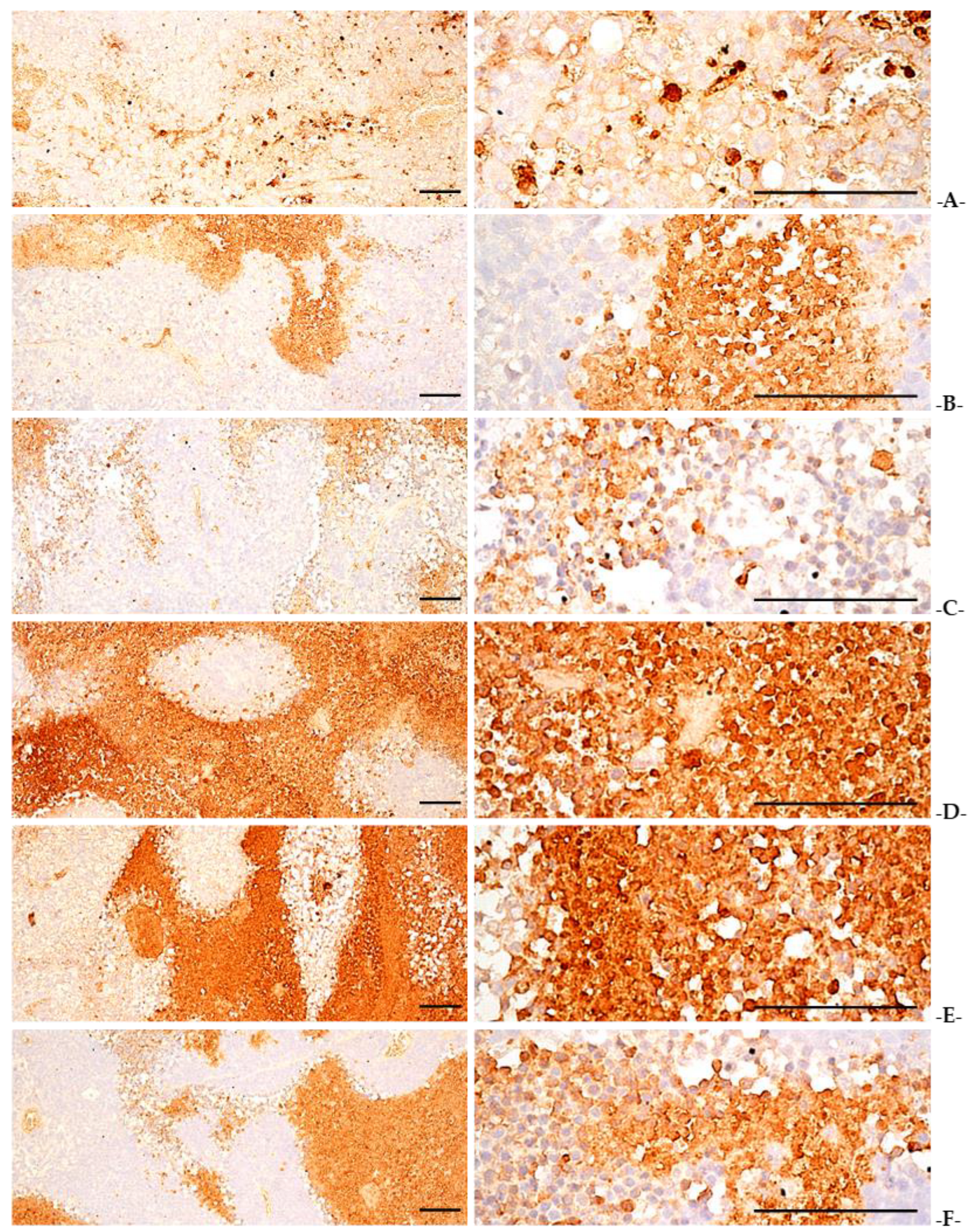 Applsci 13 01090 g008