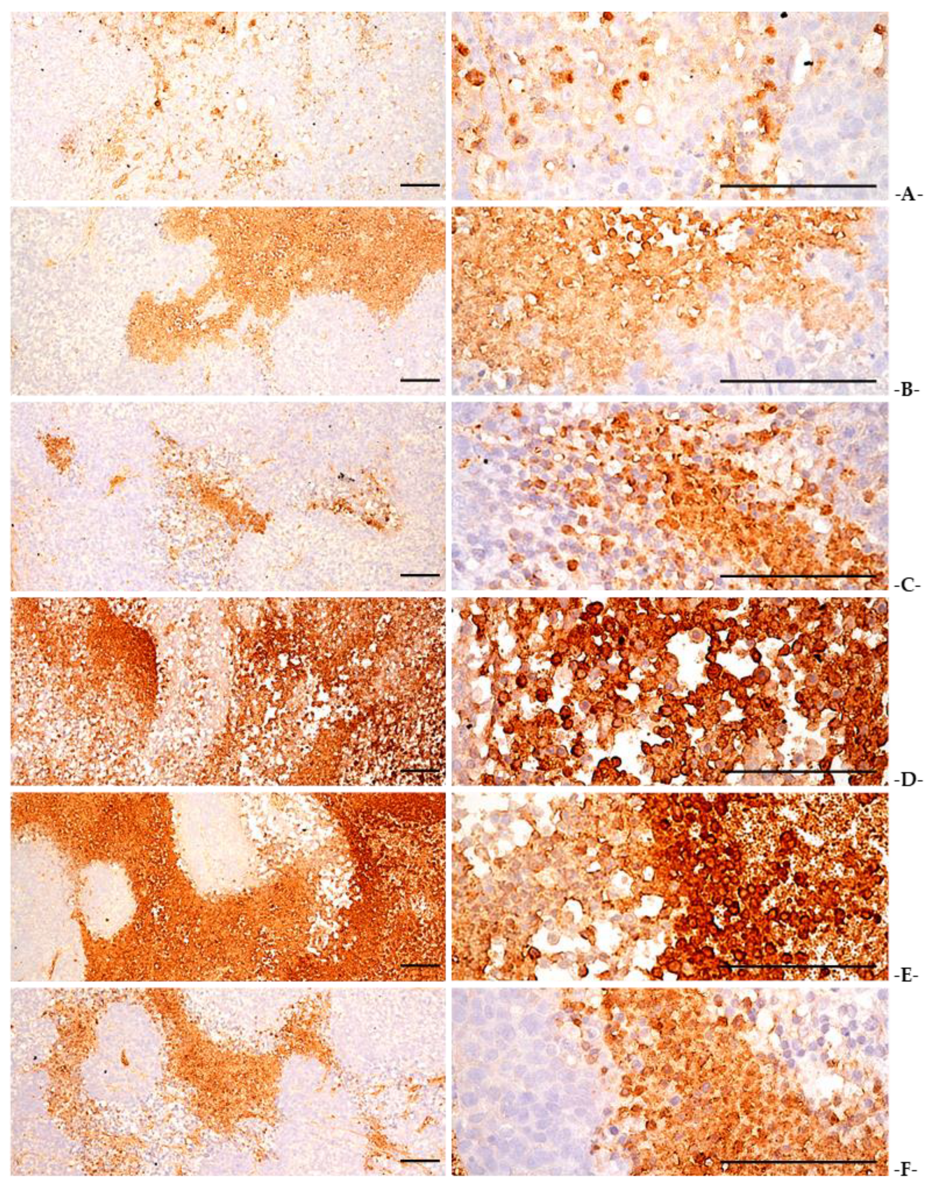 Applsci 13 01090 g009