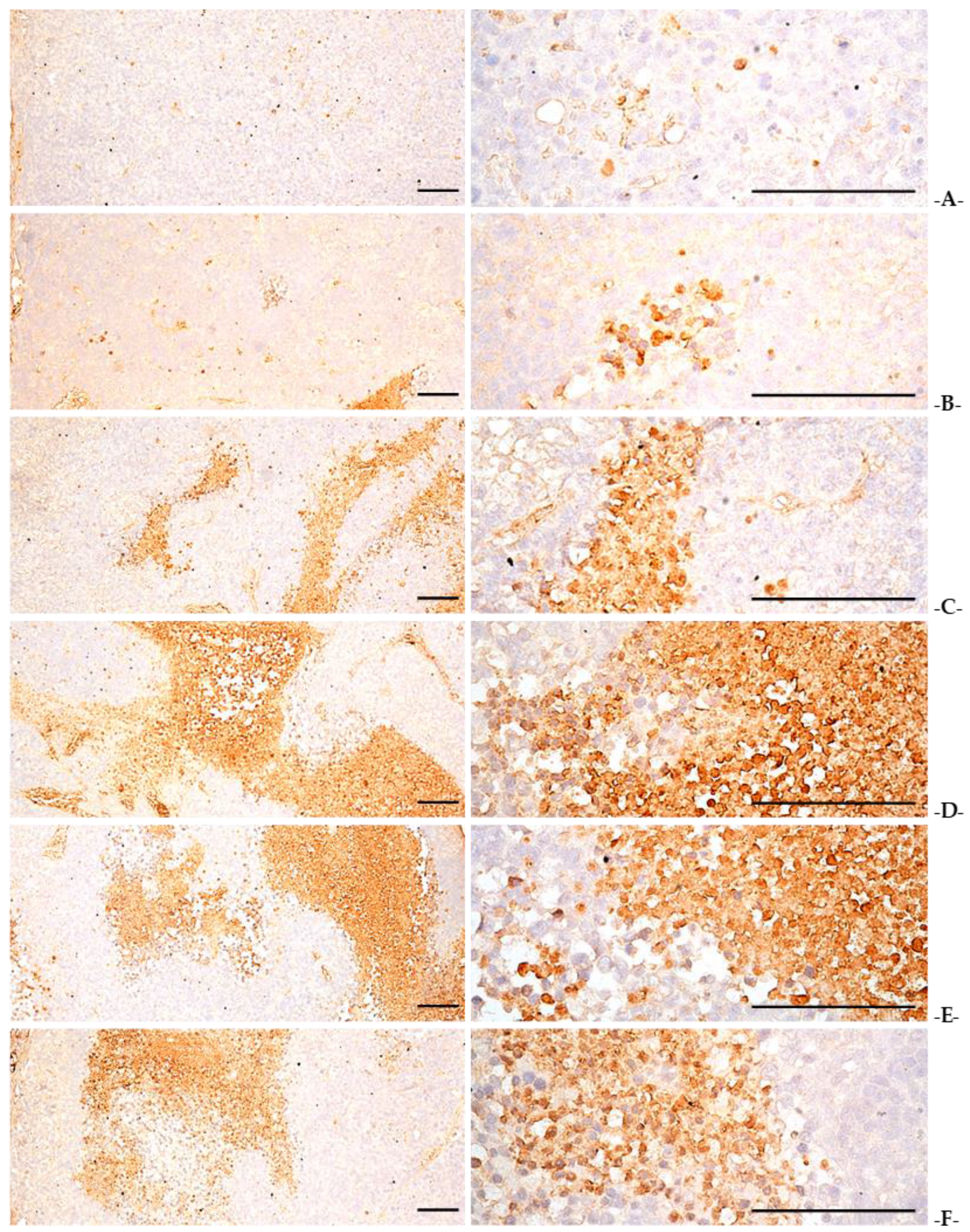 Applsci 13 01090 g011