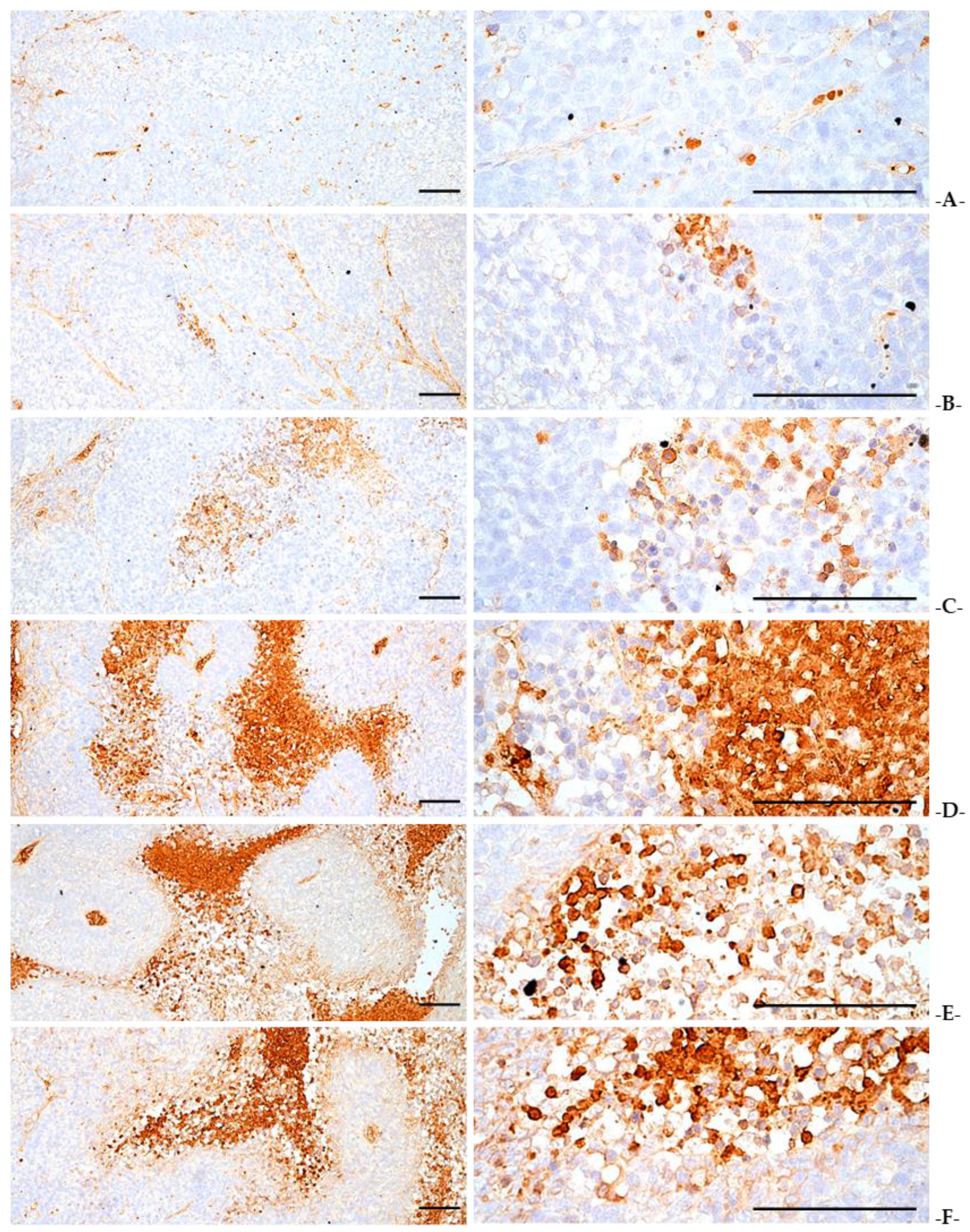 Applsci 13 01090 g012