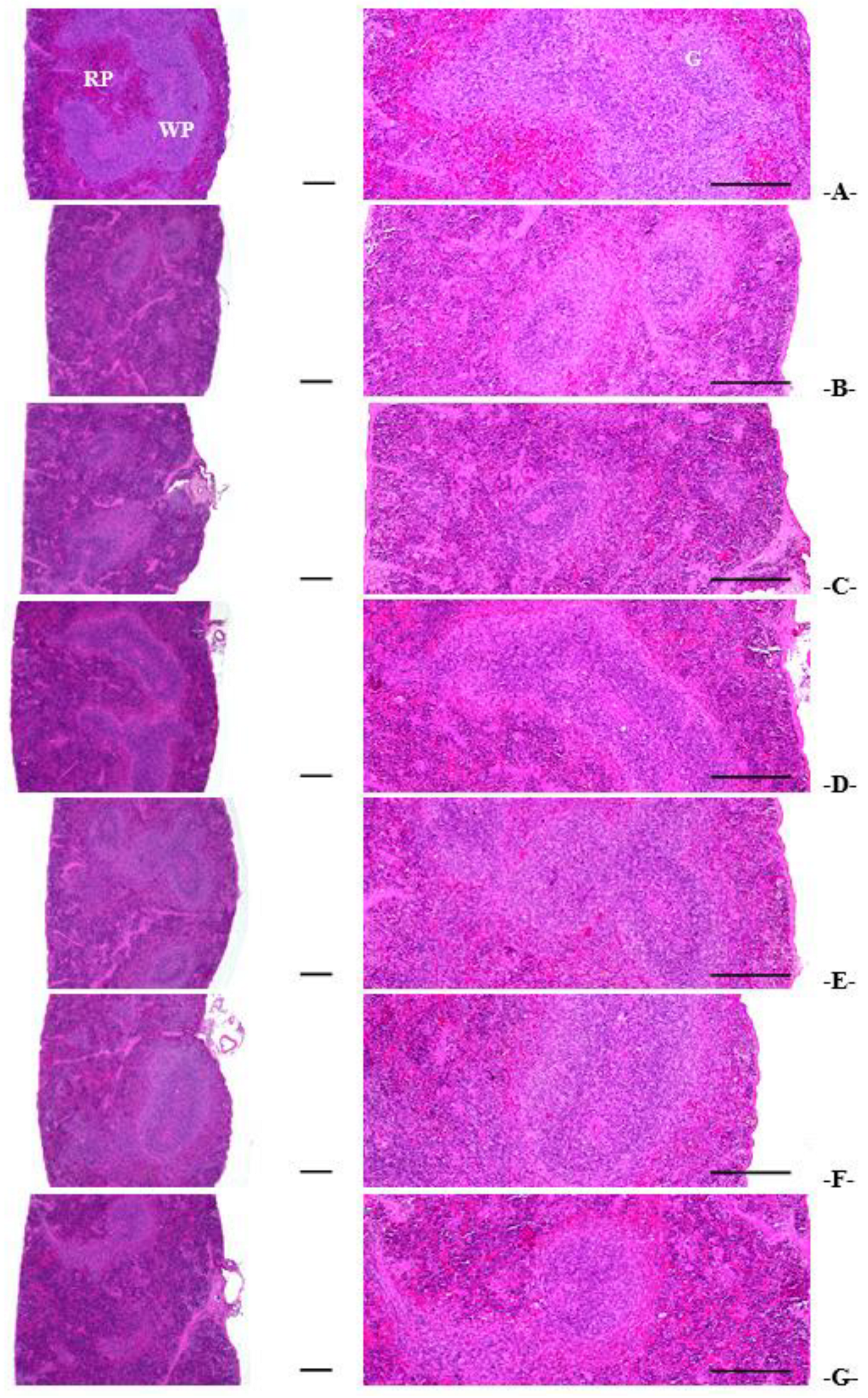 Applsci 13 01090 g013