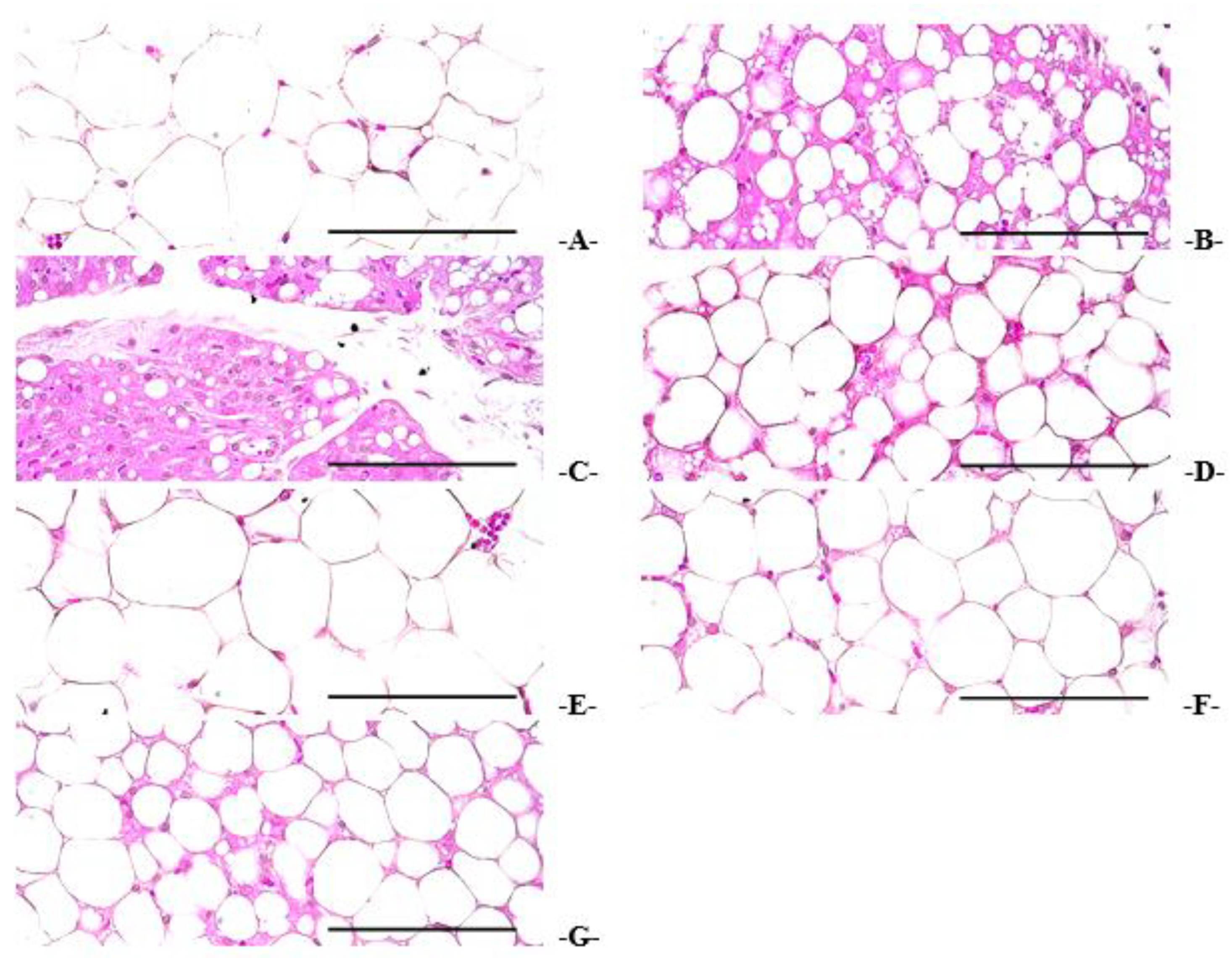 Applsci 13 01090 g015