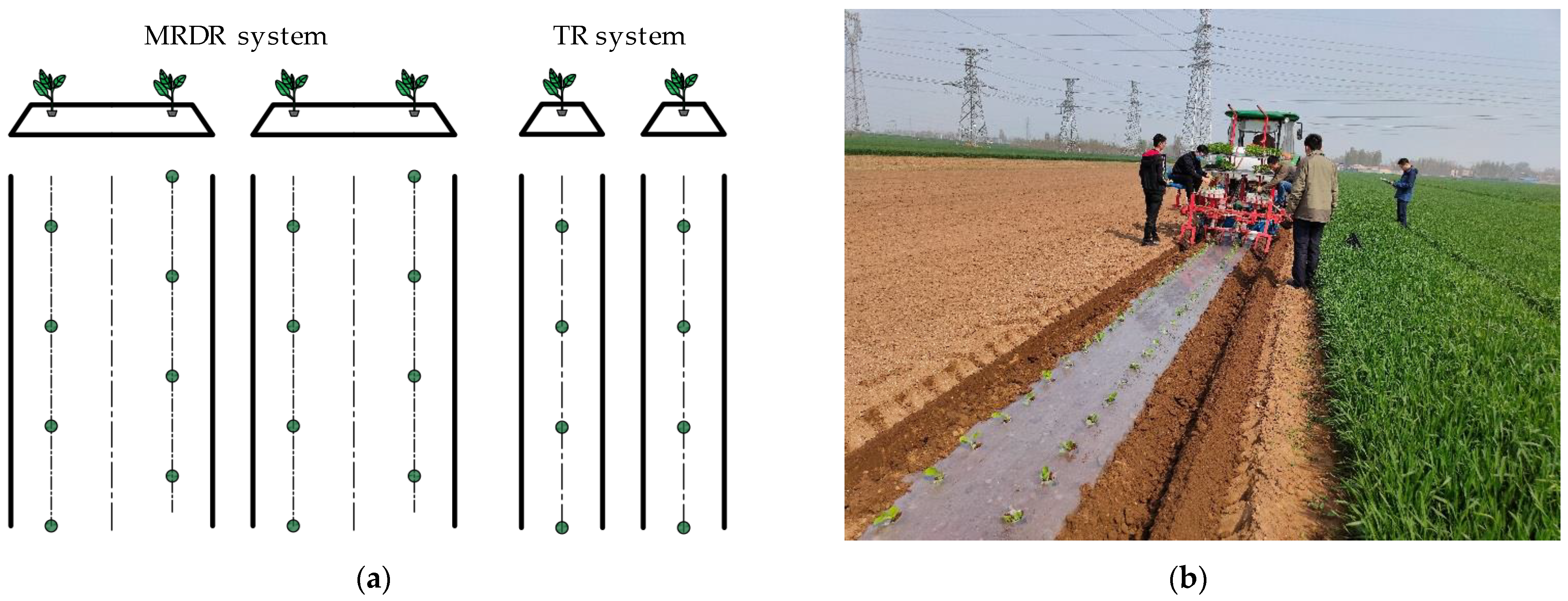 Applsci 13 01092 g009