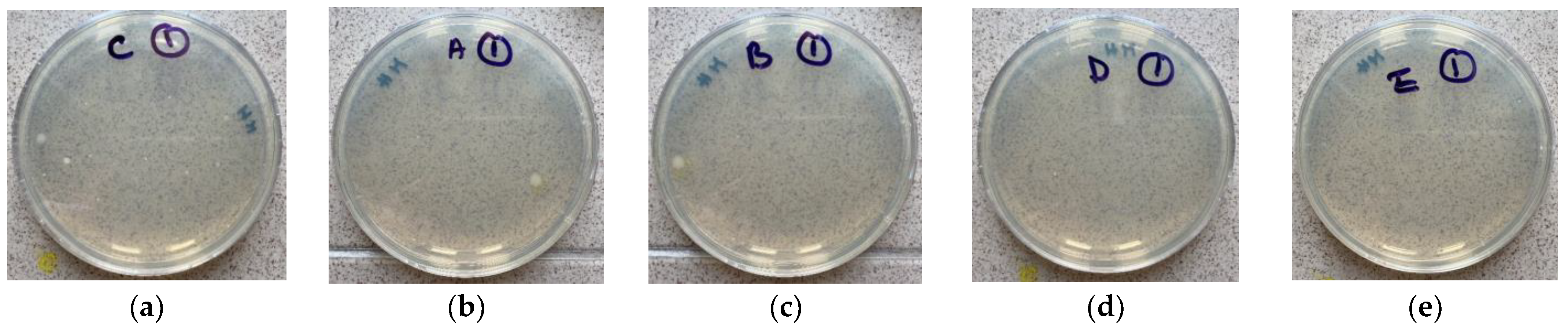 Applsci 13 01097 g004