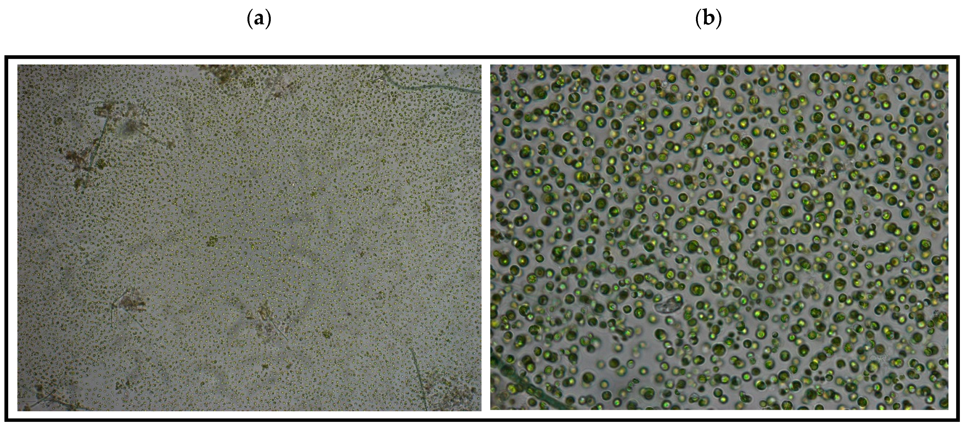 Applsci 13 01098 g008