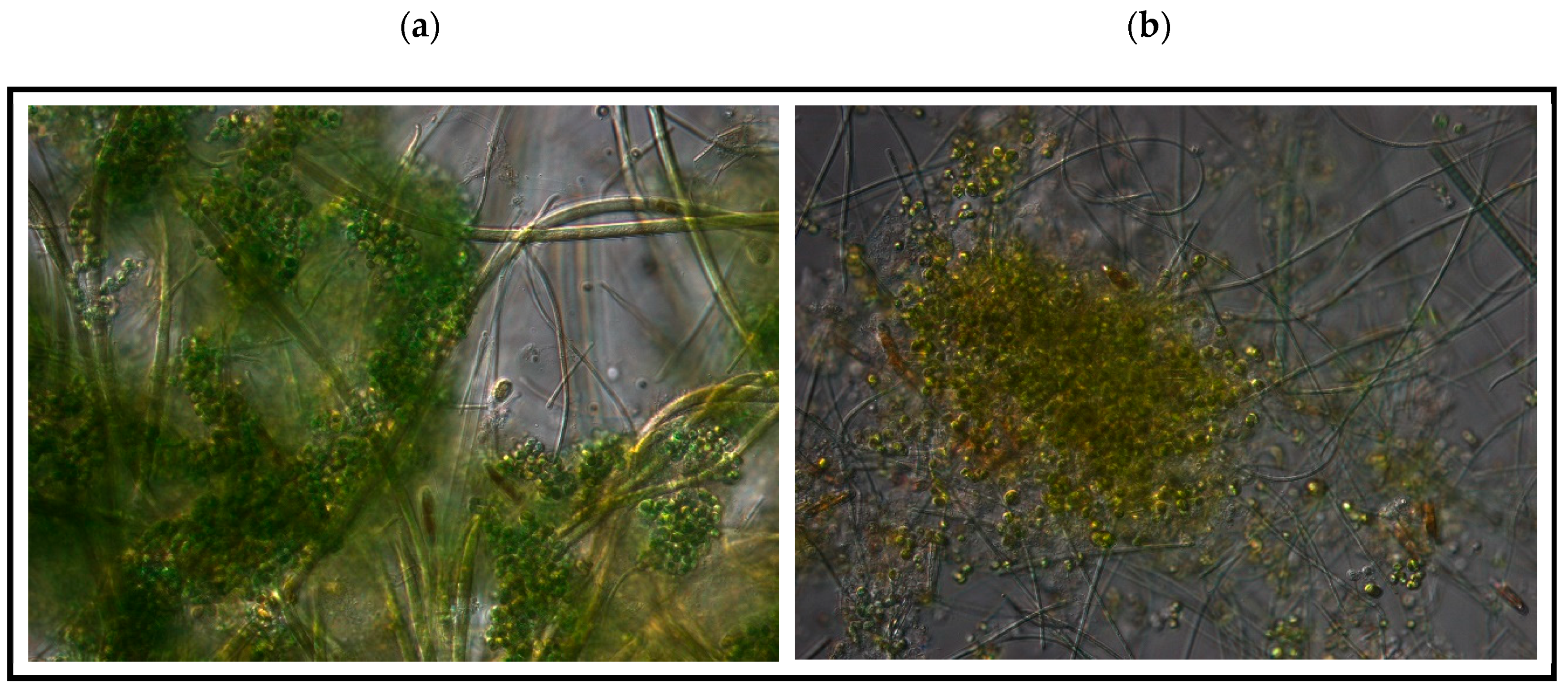 Applsci 13 01098 g009