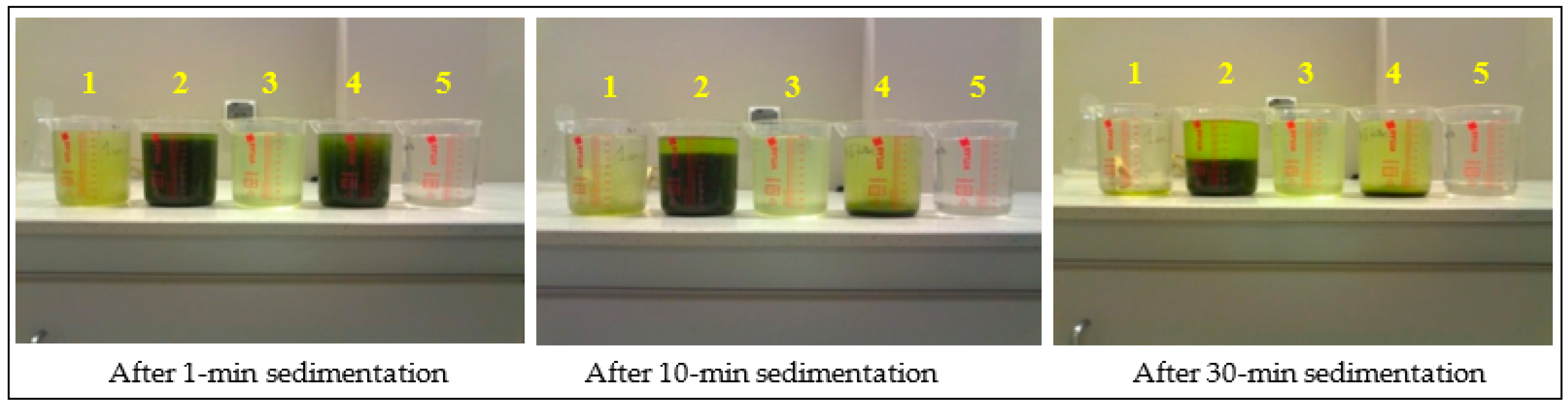 Applsci 13 01098 g012