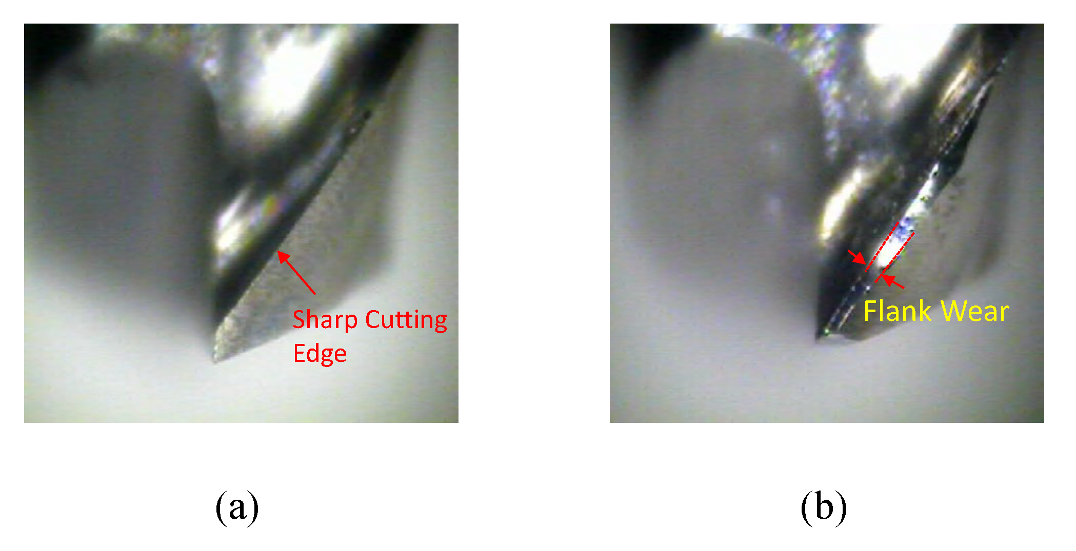 Applsci 13 01107 g005