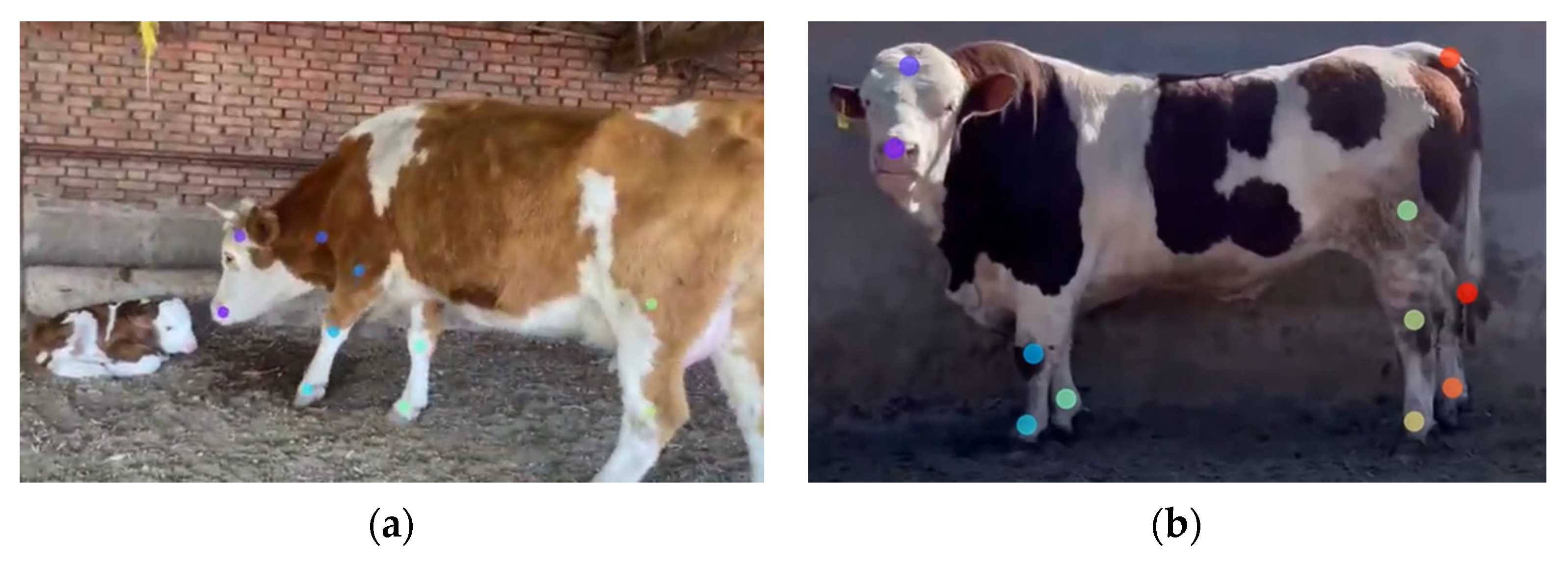 Applsci 13 01141 g005