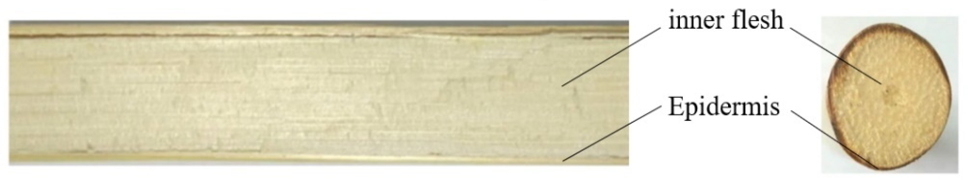 Applsci 13 01156 g001