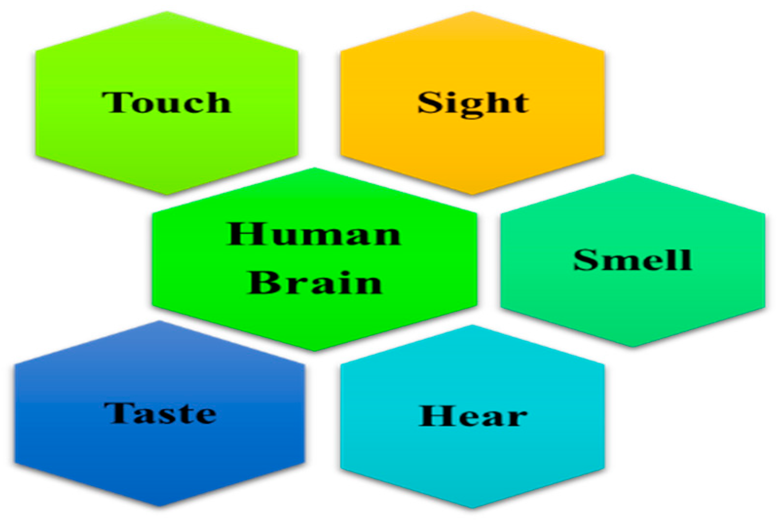 Applsci 13 01163 g002