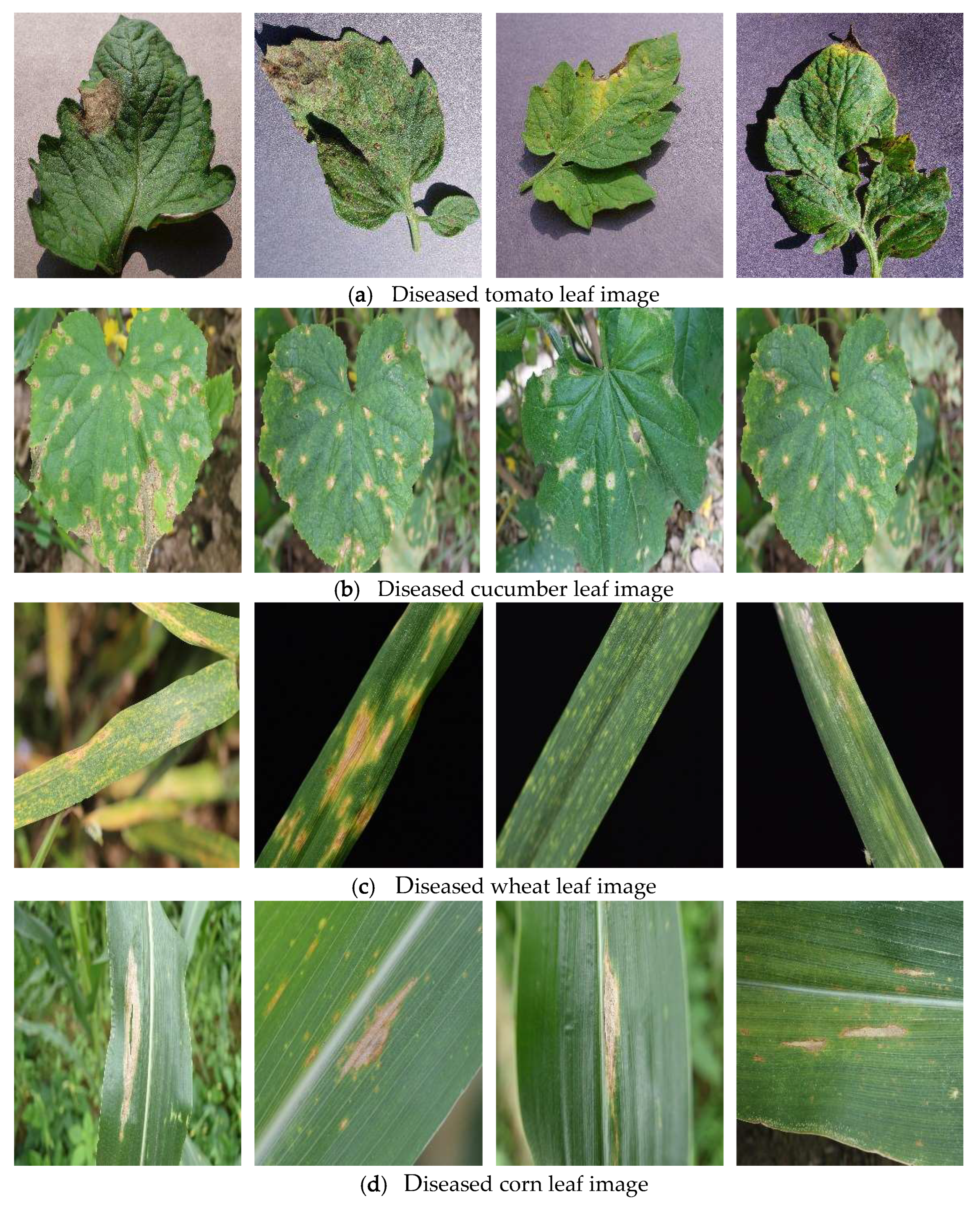 Applsci 13 01172 g001