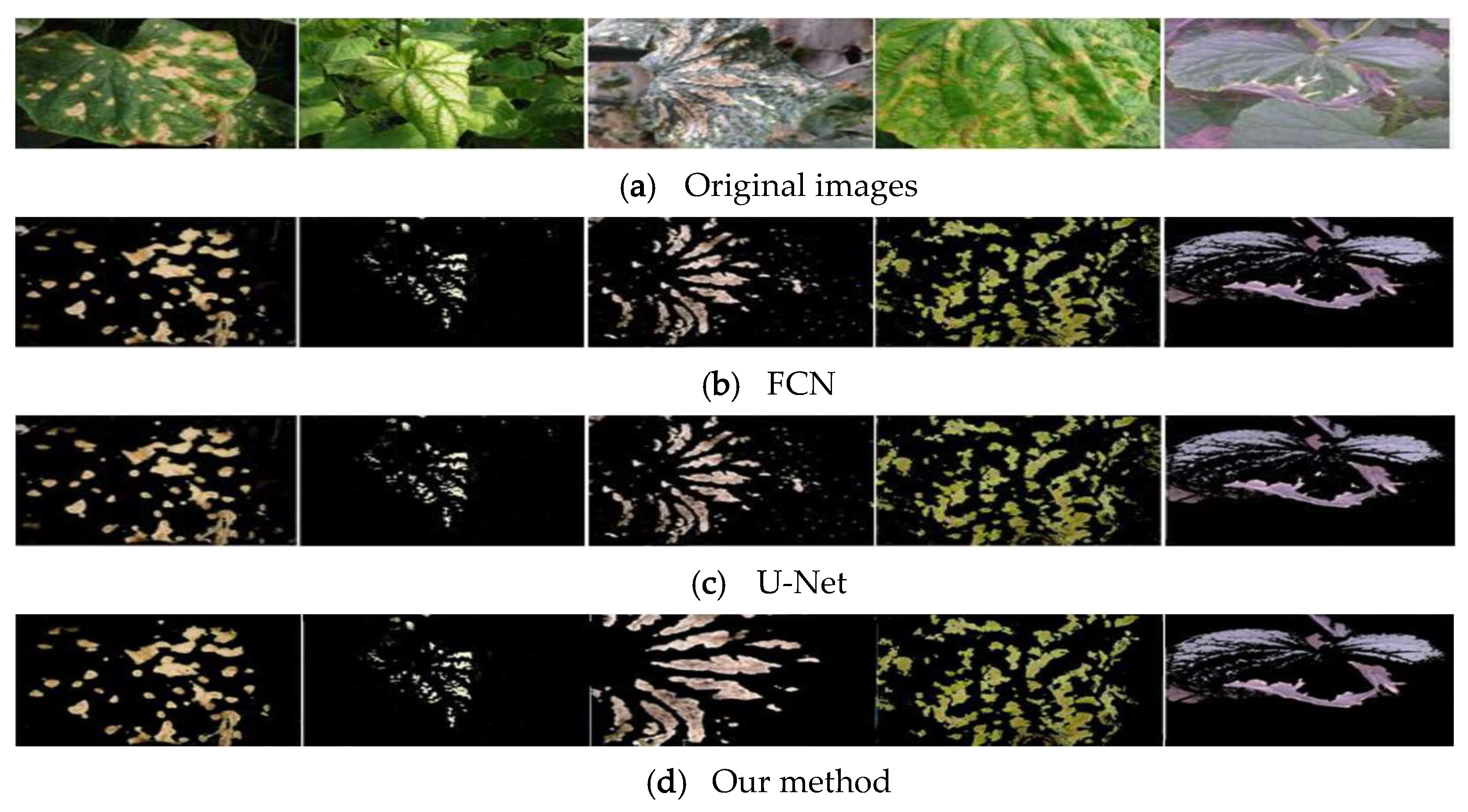 Applsci 13 01172 g007