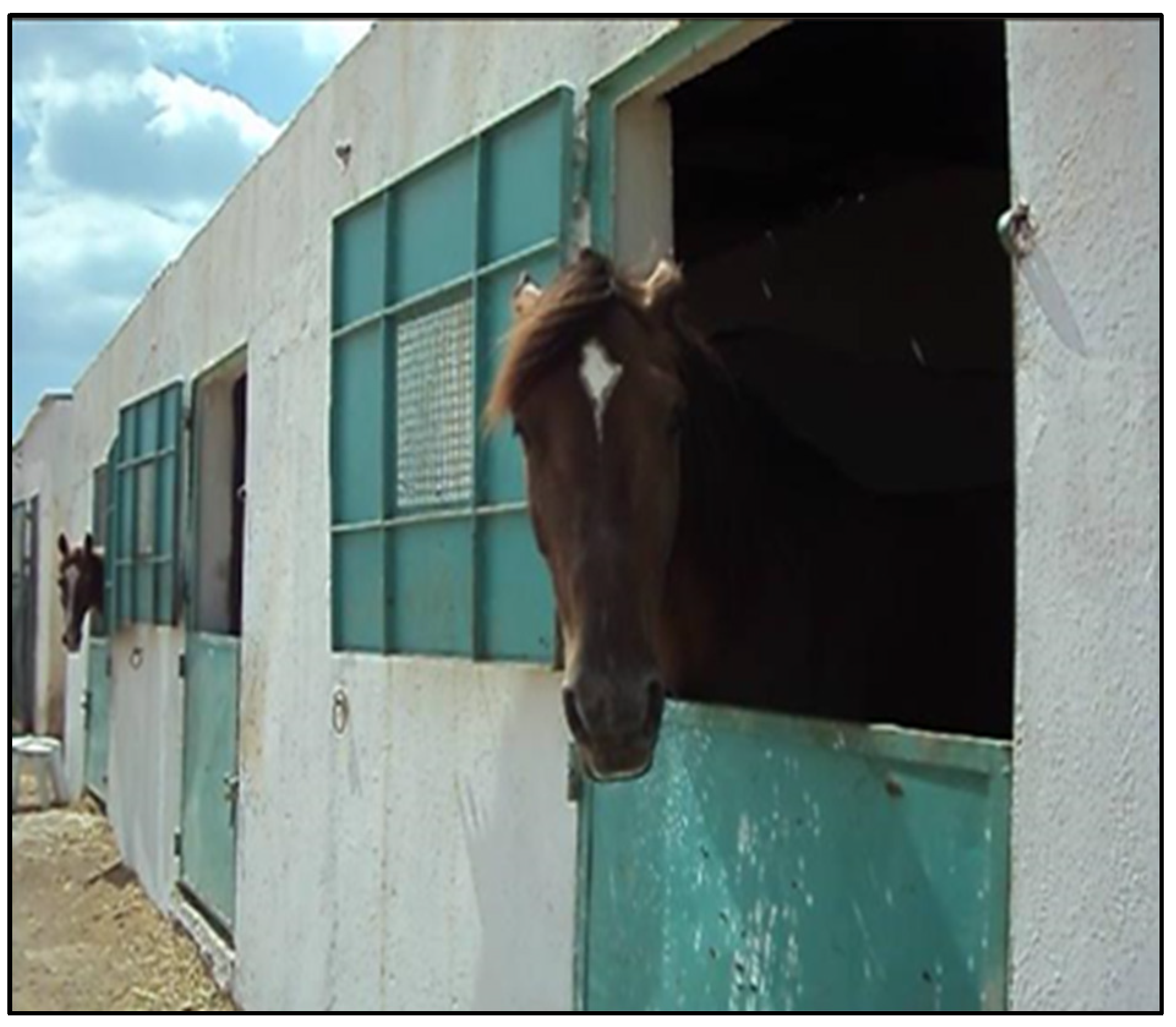 Applsci 13 01178 g003