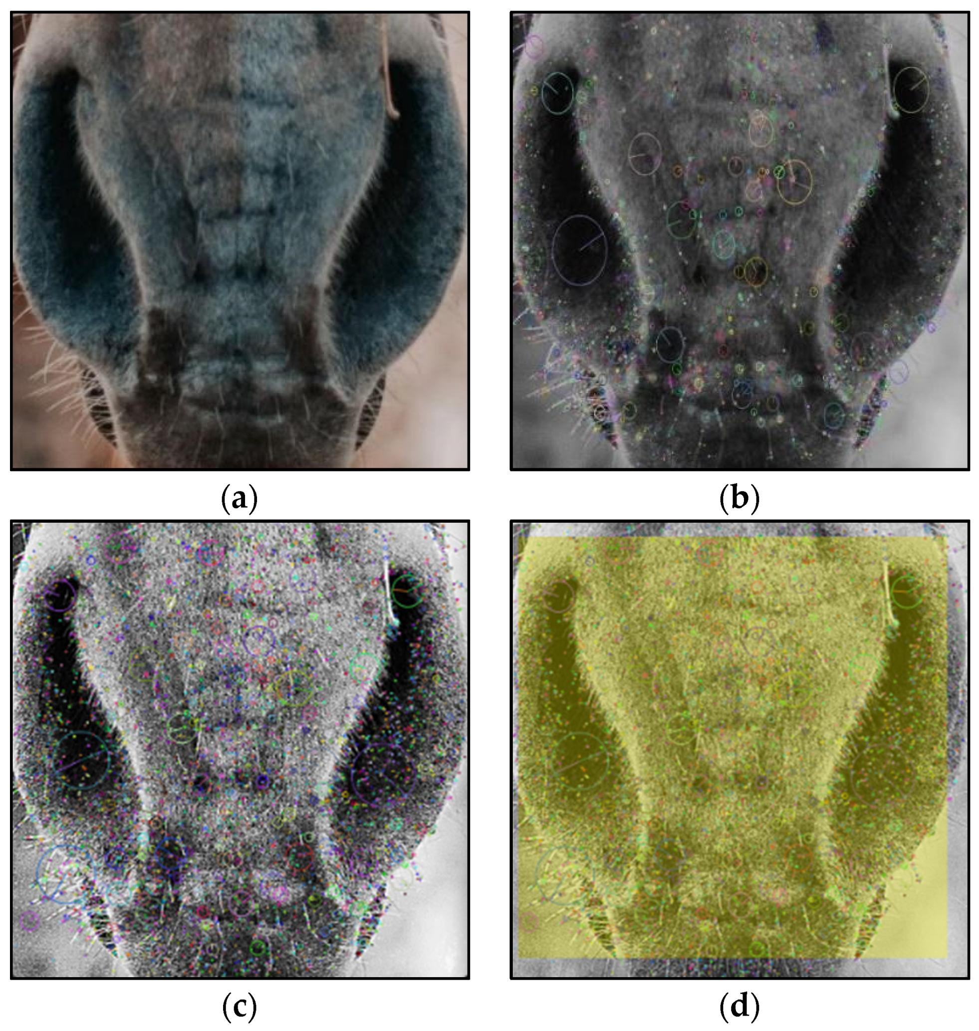Applsci 13 01178 g007