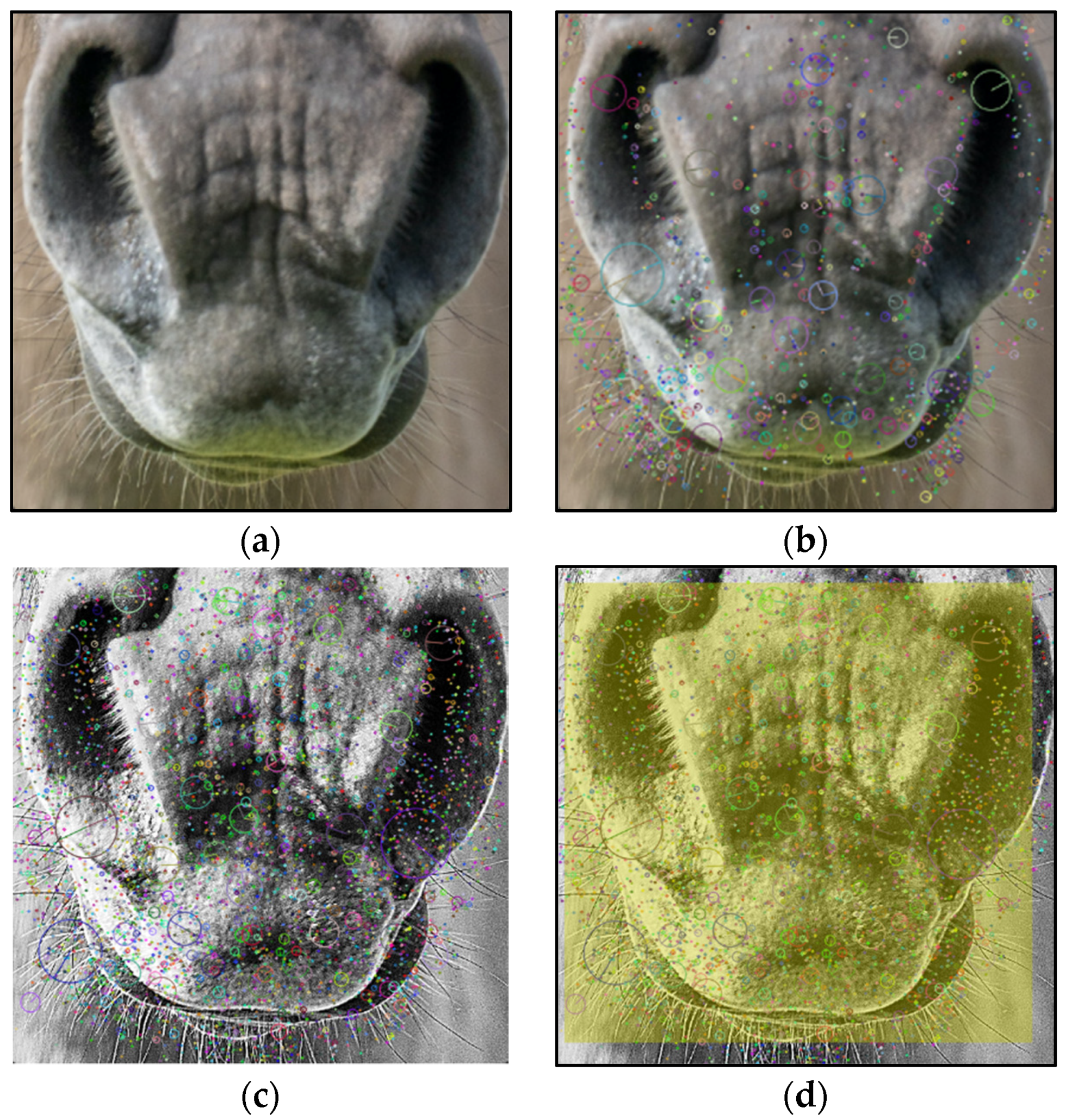 Applsci 13 01178 g008