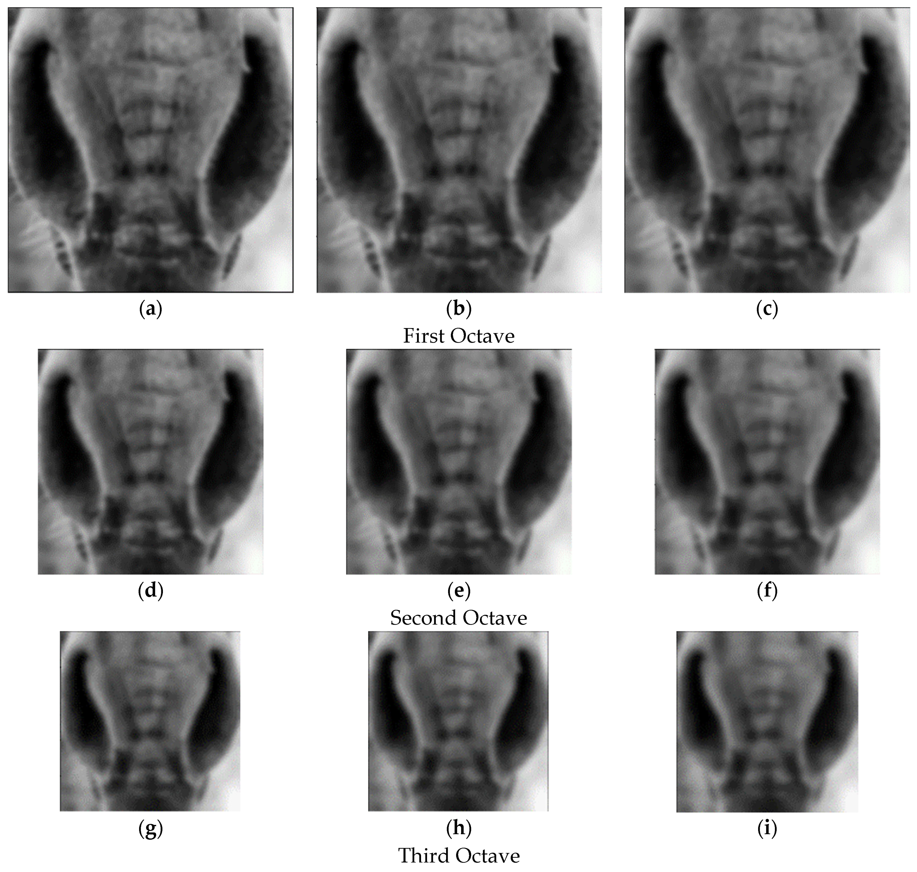 Applsci 13 01178 g009