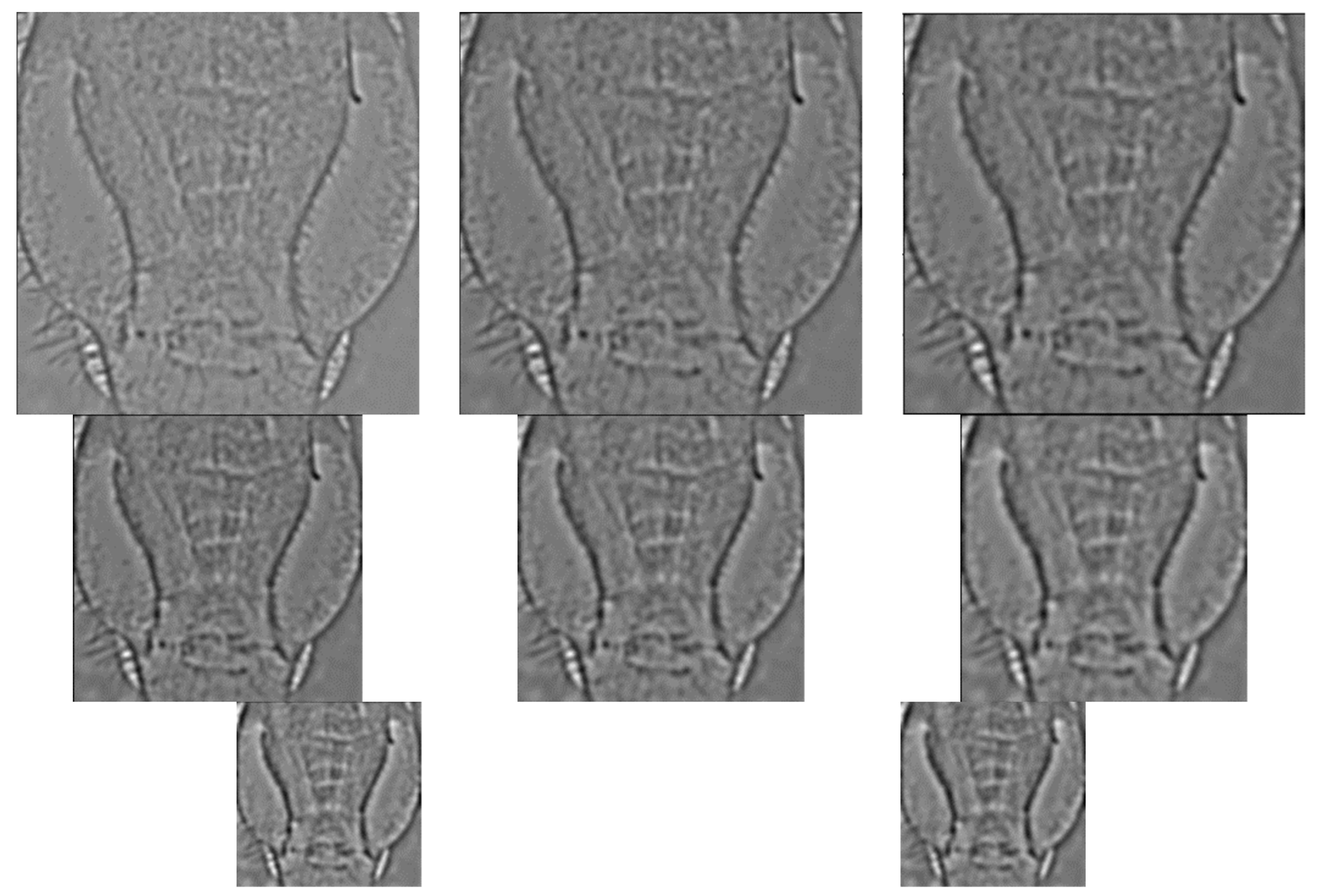 Applsci 13 01178 g011