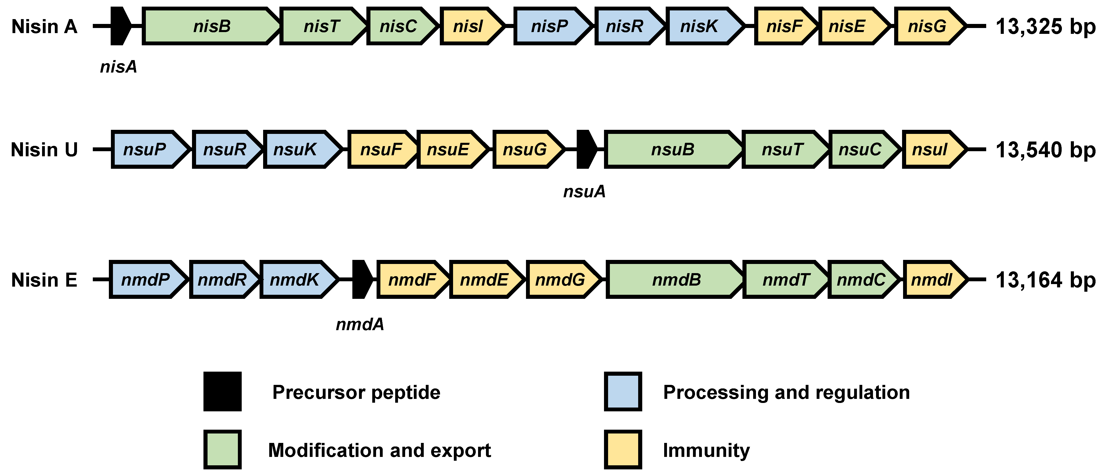 Applsci 13 01186 g001