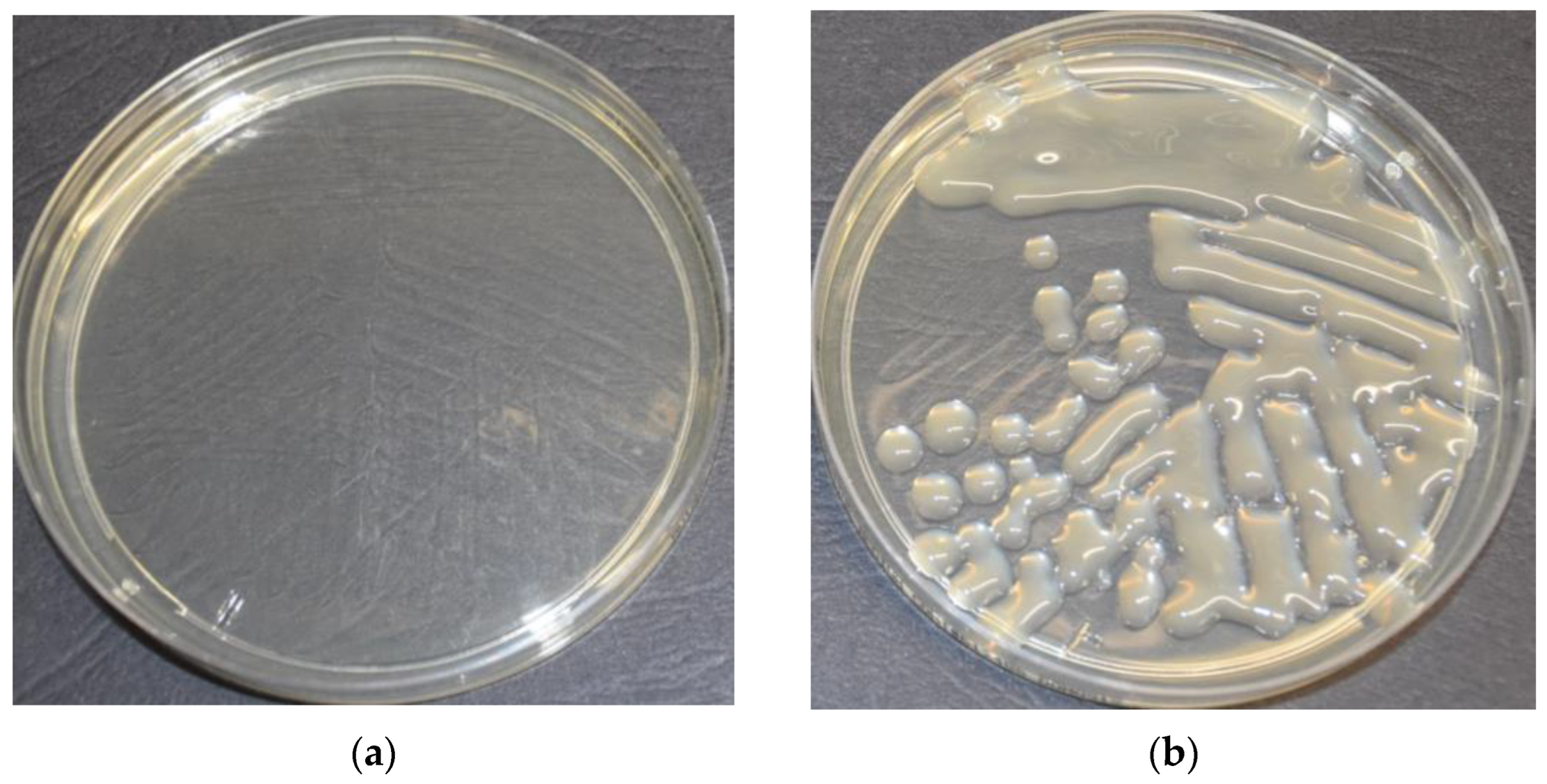 Applsci 13 01186 g003