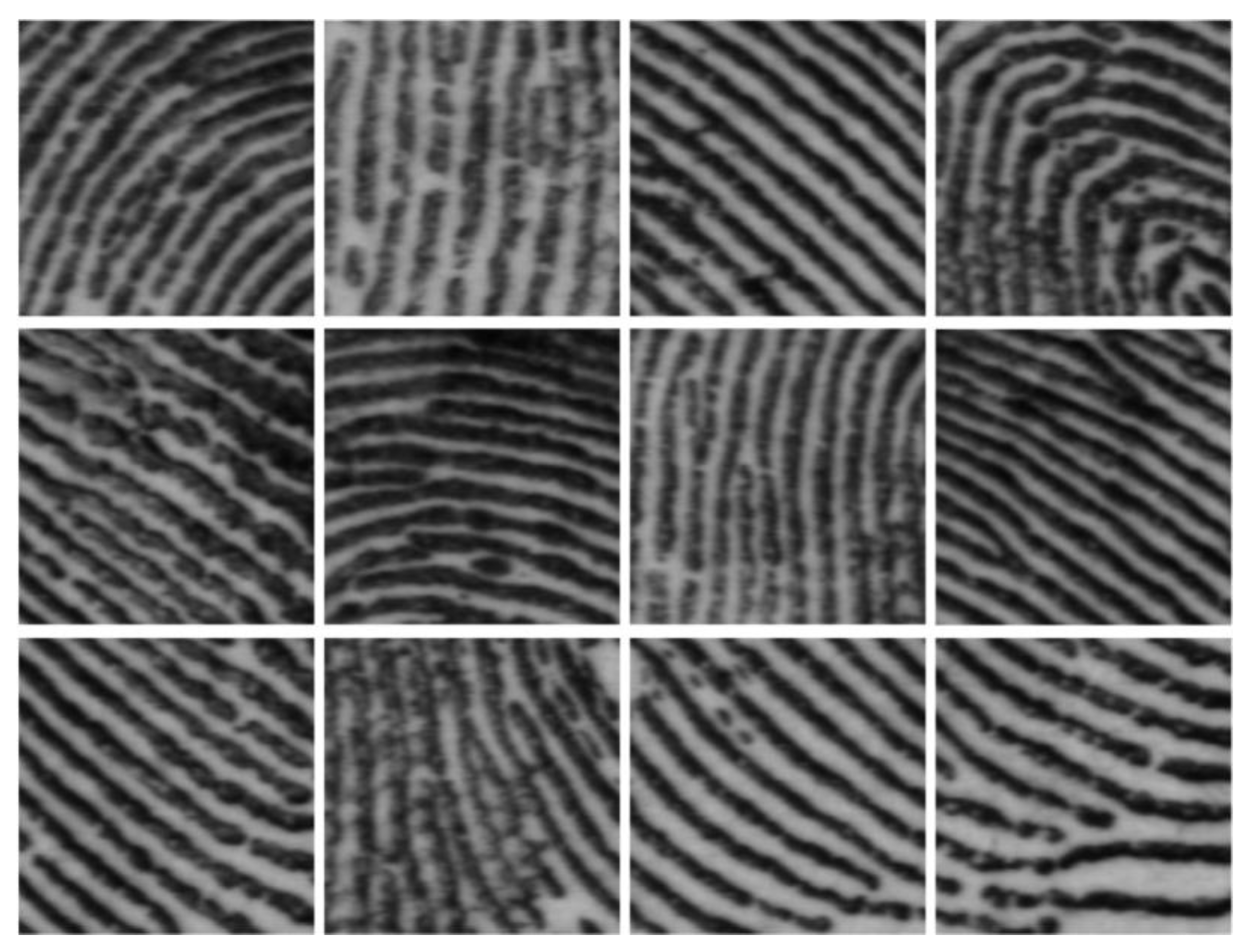 Applsci 13 01188 g003