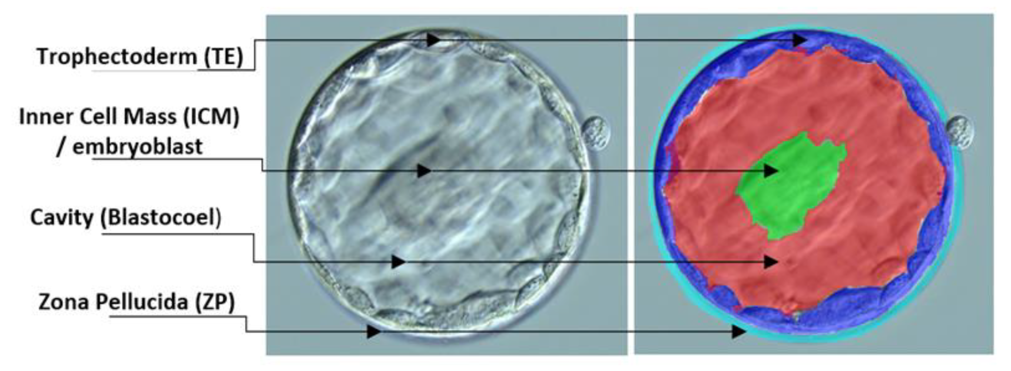 Applsci 13 01195 g003