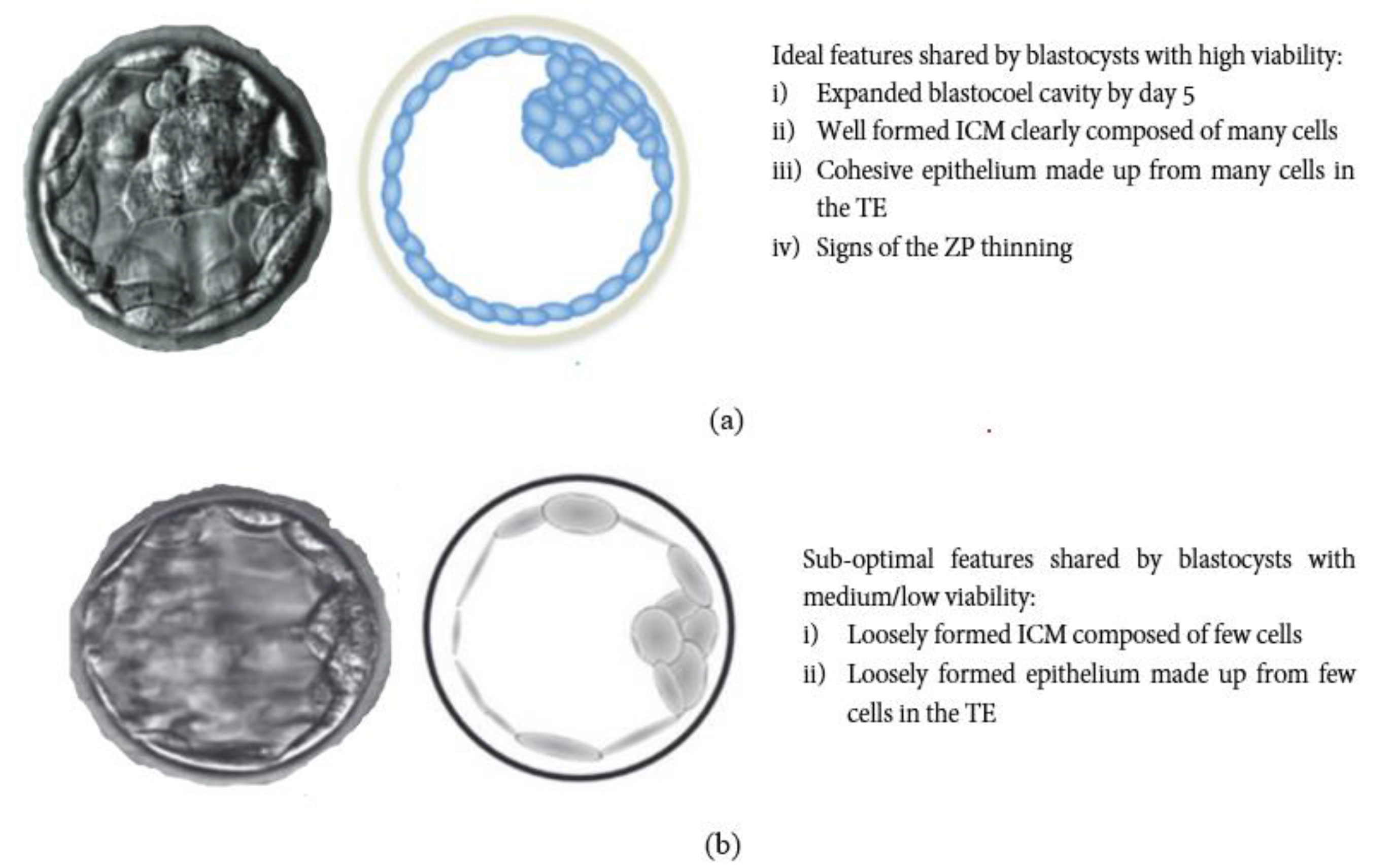 Applsci 13 01195 g004