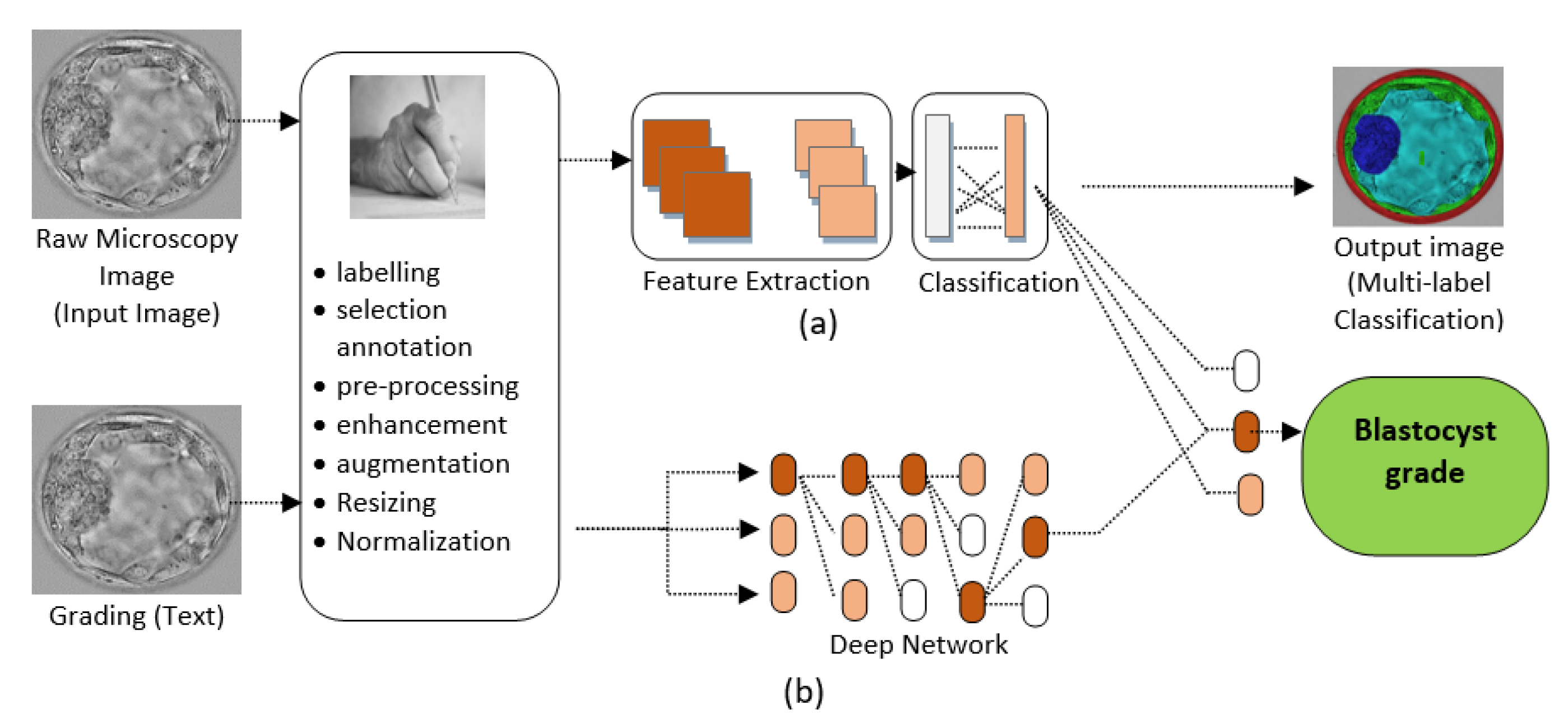 Applsci 13 01195 g006