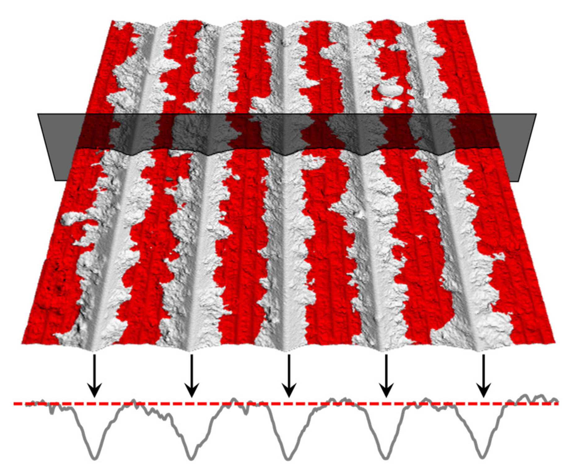 Applsci 13 01205 g013