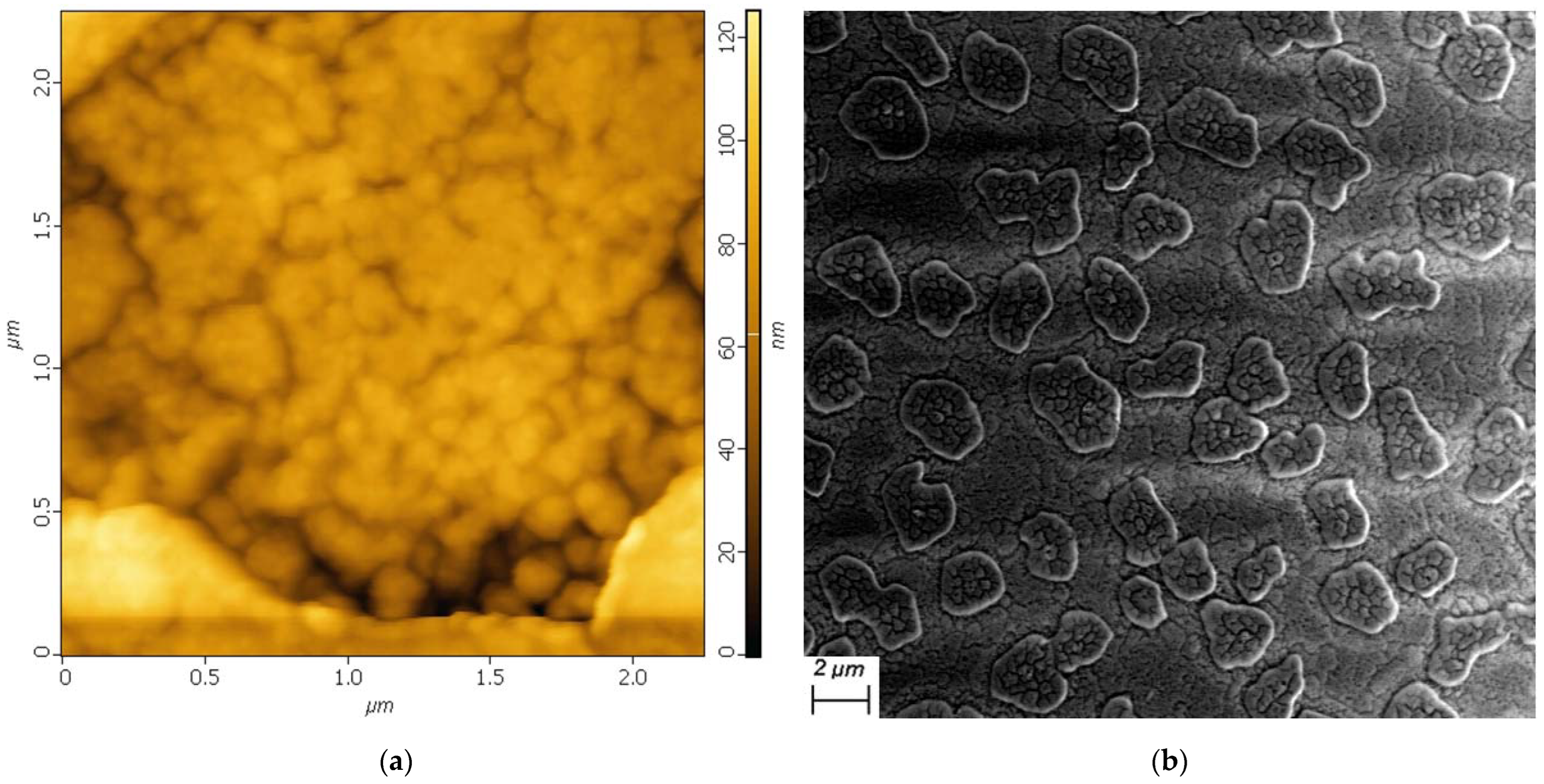 Applsci 13 01211 g003